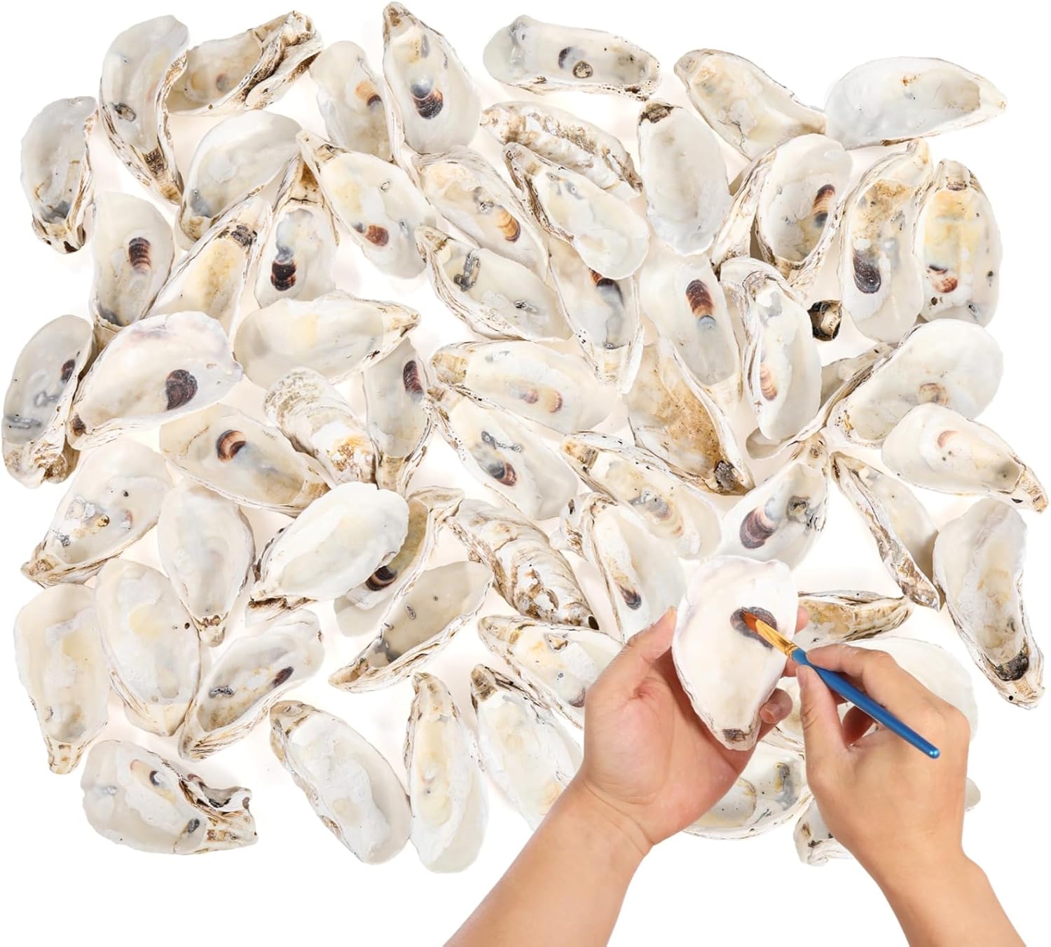 Homaisson 60 PCS Oyster Shells for Crafts, Large Oyster Shells for Decor, Natural North Sea Origin, 4~5 Inches Natural Design, Ideal for Aquarium Landscaping, Crack-Free Surface