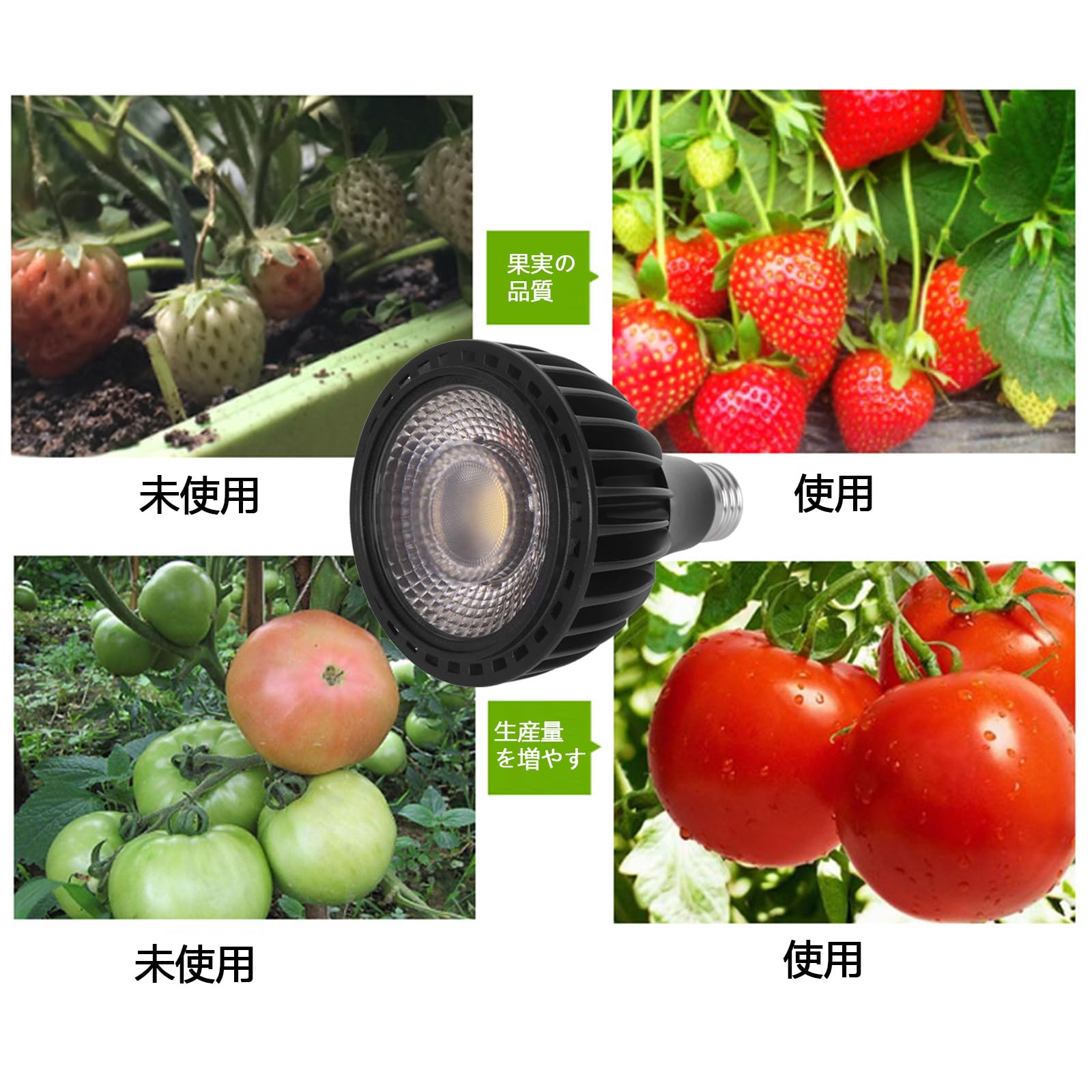 Amazon.co.jp: 24W LED 植物育成ライト E26口金 100W相当 白色系 植物