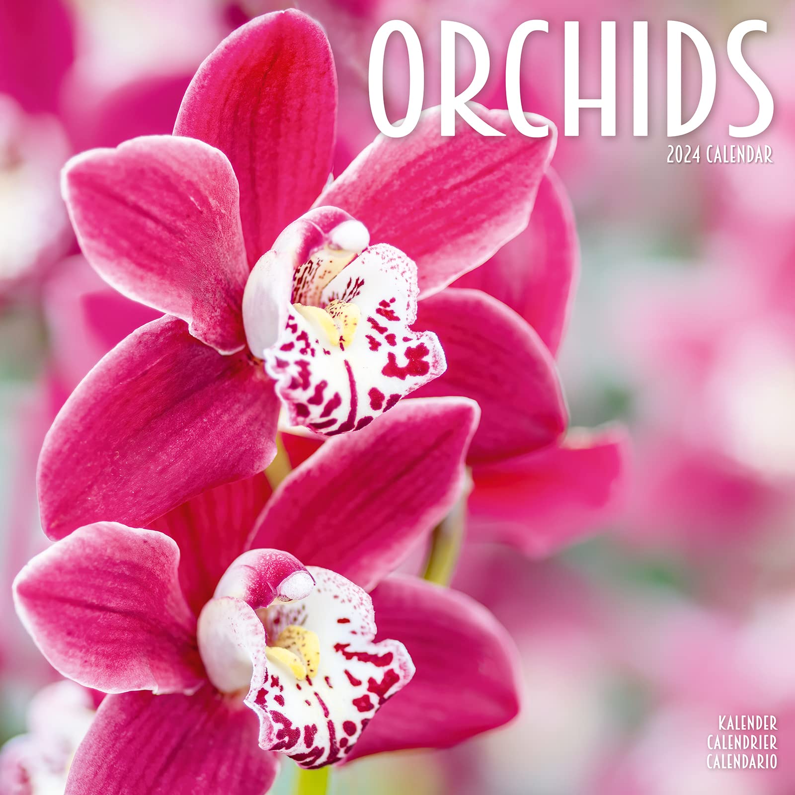 Garden Calendar Flower Calendar Orchids Calendar