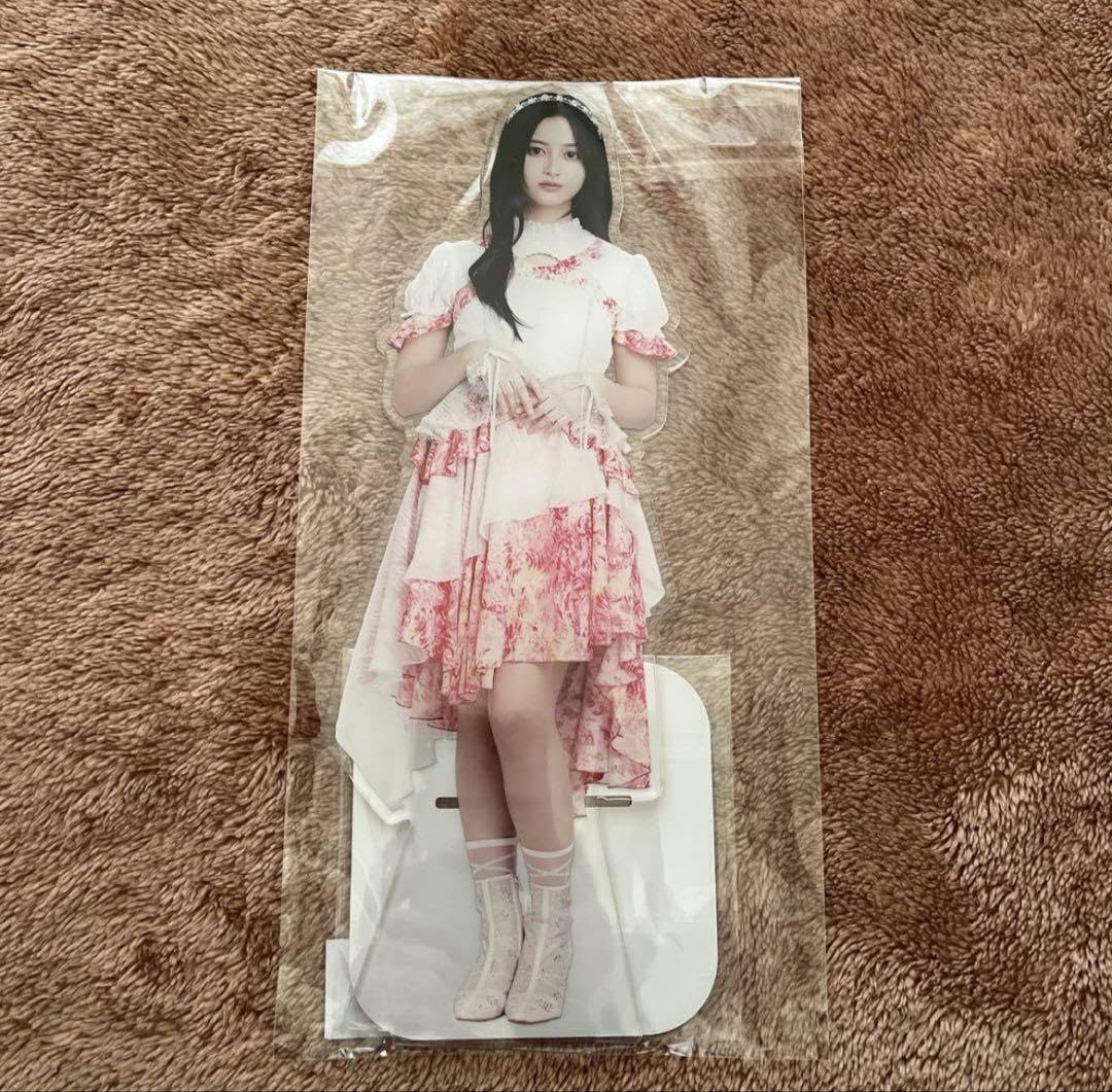 Amazon.co.jp: 乃木坂46 BIGアクリルスタンド 2025年Luckybag 5期生