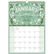 2027 calendar - 2027 Wall Calendar 12 Months 12" x 17", Jan - Dec 2027