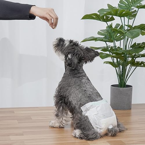 Miniatura 7 de Pañales para perros hembra, 30 pañales desechables para perros de diferentes tamaños, absorbentes con indicador de humedad