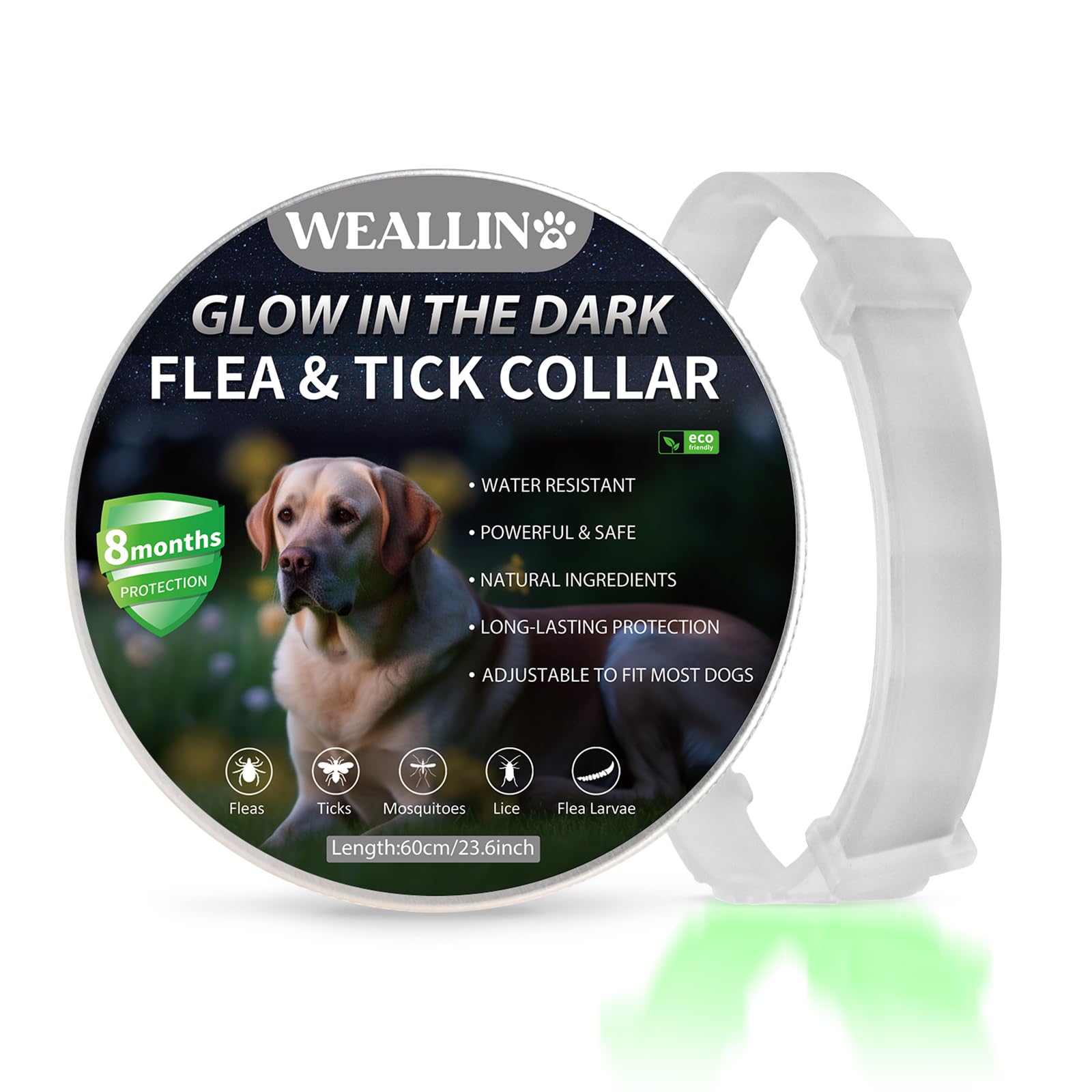 WEALLIN Luminoso Collar Antipulgas Perros, Collar de Pulgas y Garrapatas para Perro, Collares Antiparasitario para Perros Impermeable Regulable con 8 Meses de Protección, Gris (1 Pièce)