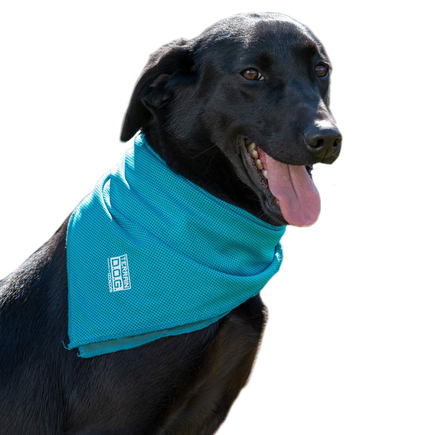 Terrain Dog Cooling Bandana - Cooling Fabric Powered by Coolcore® Technology
