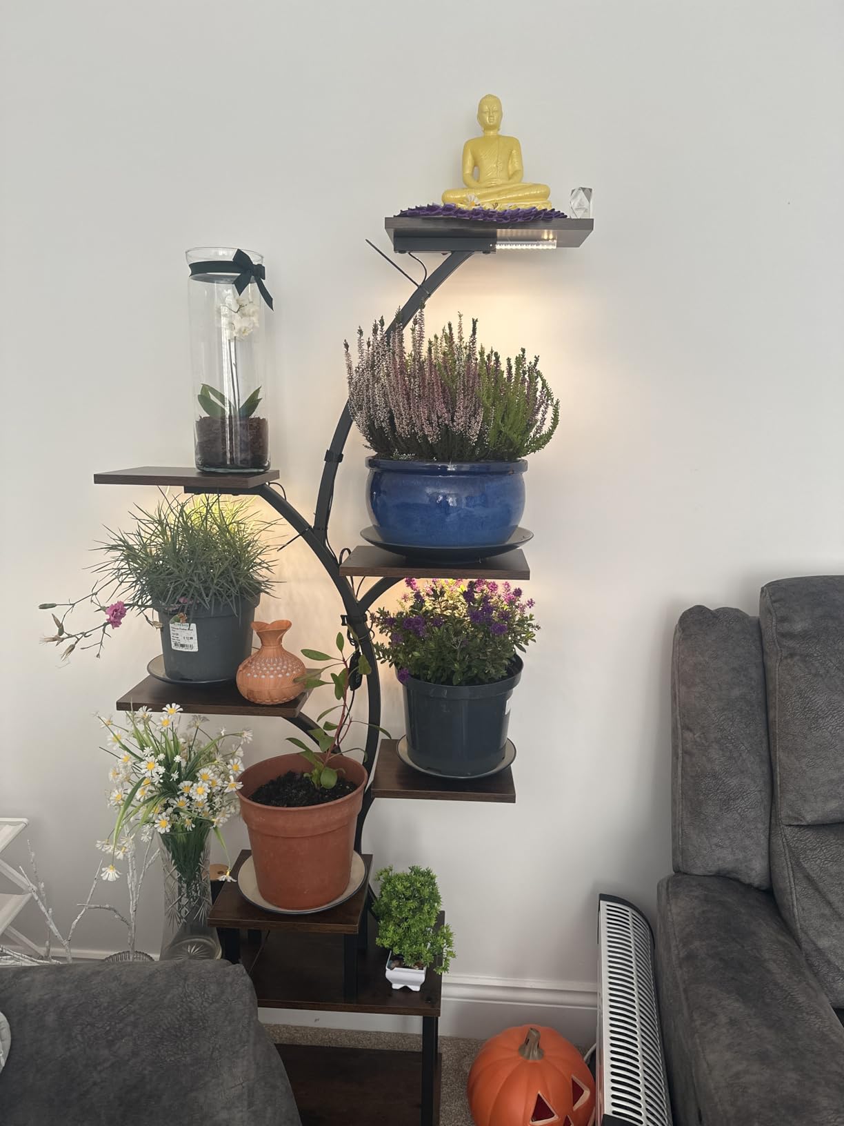 Customer photo