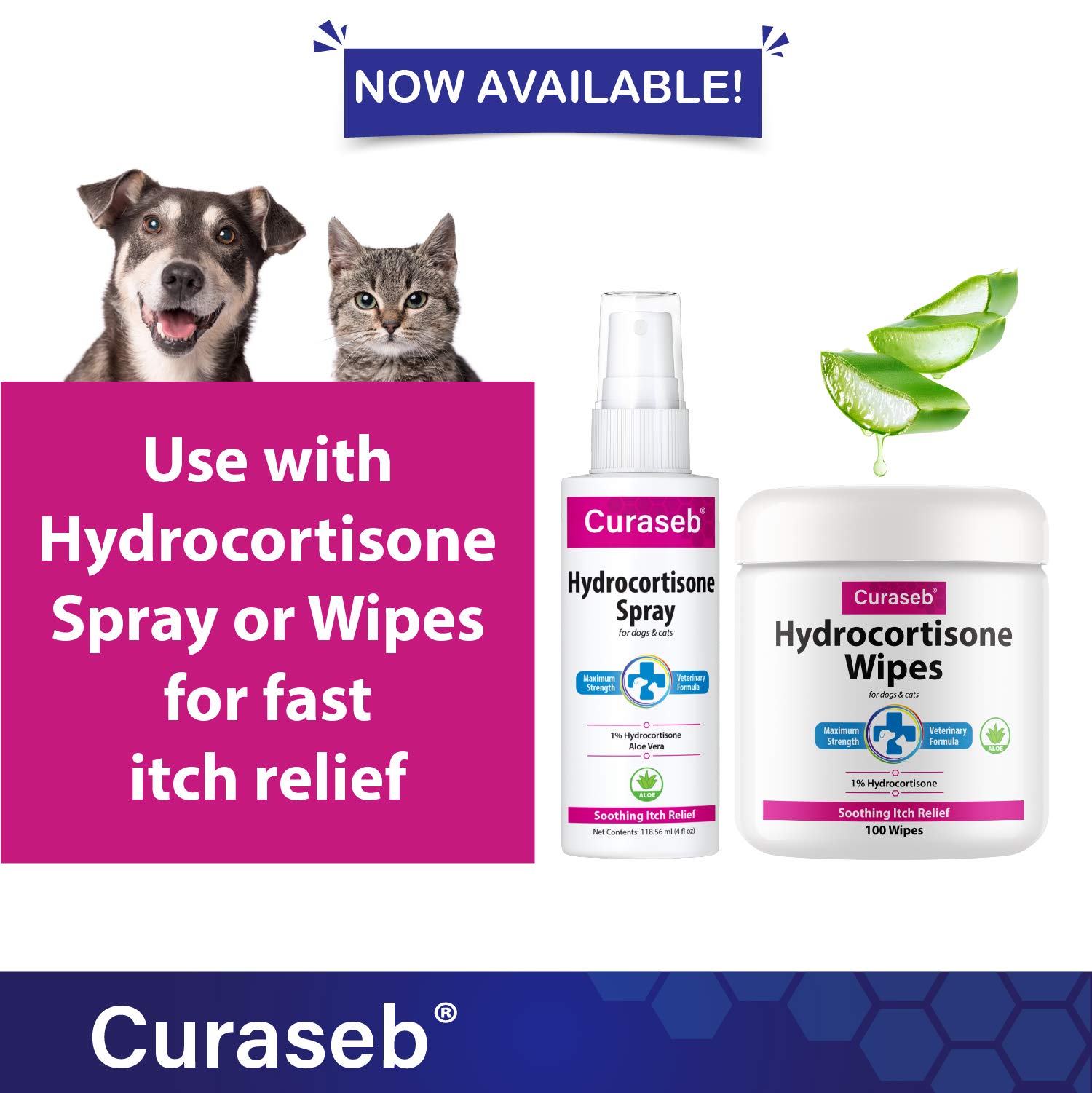 Buy BEXLEY LABS Curaseb Benzoyl Peroxide Dog Shampoo Relieves