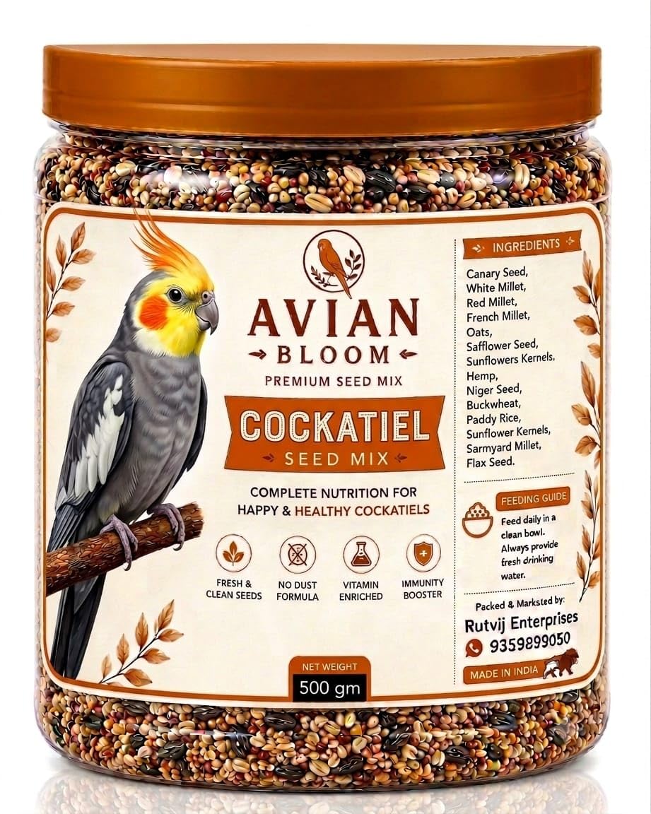 Avian Bloom Premium Cockatiel Seed Mix (500g Jar) | Rich in Nutrients, Fresh & Clean Seeds with No Dust Formula| Complete Daily Bird Food for Healthy & Happy Cockatiels-picture-10