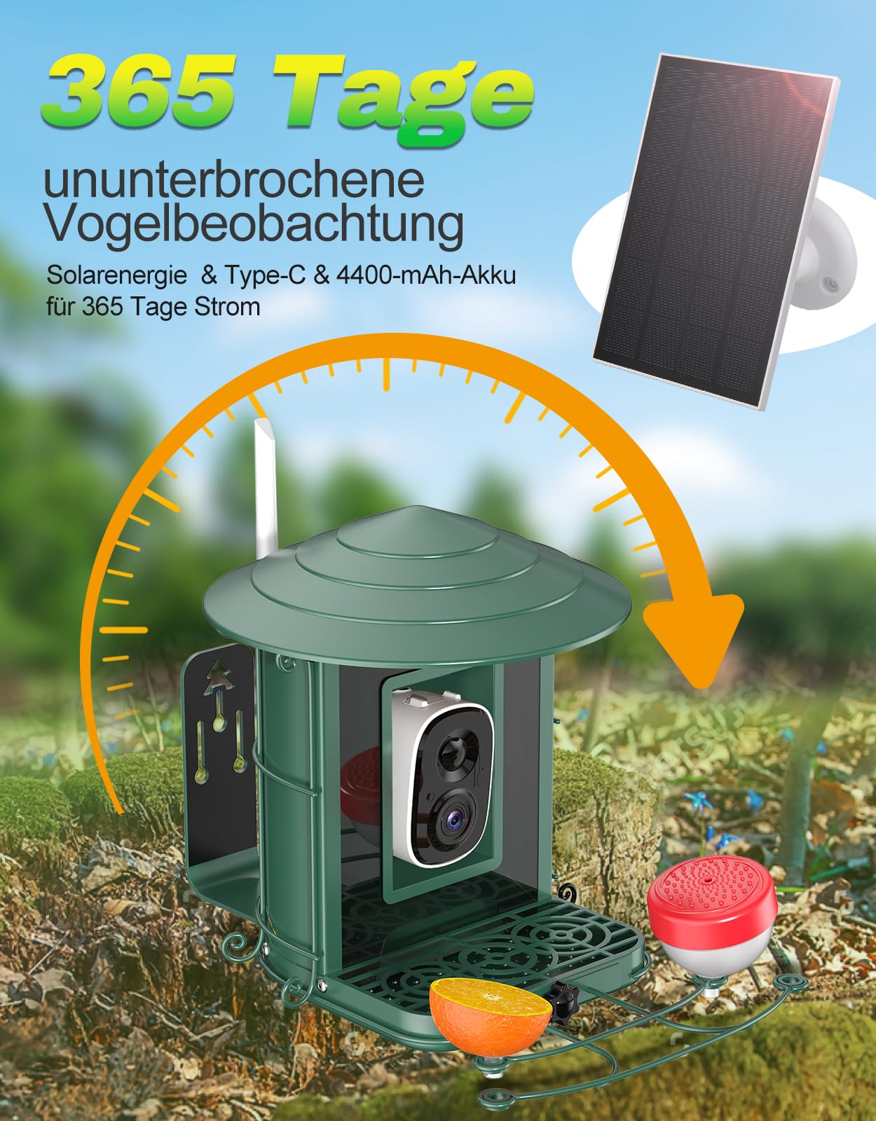 4UMOR Vogelfutterhaus mit Kamera, KI-Vogelerkennung Live-Beobachtung Automatische Aufnahme Solarbetrieb Metall Vogelfutter mit Eichhörnchensicher WLAN & Nachtsicht IP65 Wasserdicht 2K HD Video Smart