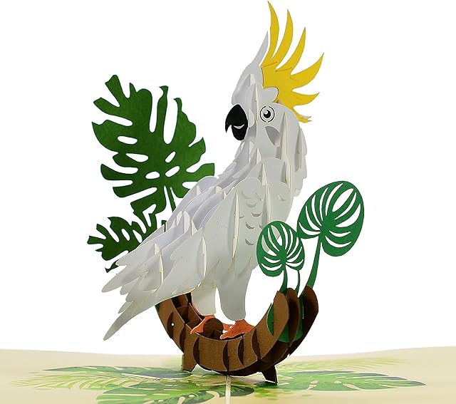 CUTPOPUP White Parrot Card Pop Up, 3d Birthday Card Pop Up For Daughter,Son, Niece, Nephew Grandma, Mom, Husband, Him, Men, Brother - Wonderful On Birthday, Christmas UK
