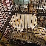 Customer Image, click to open customer review