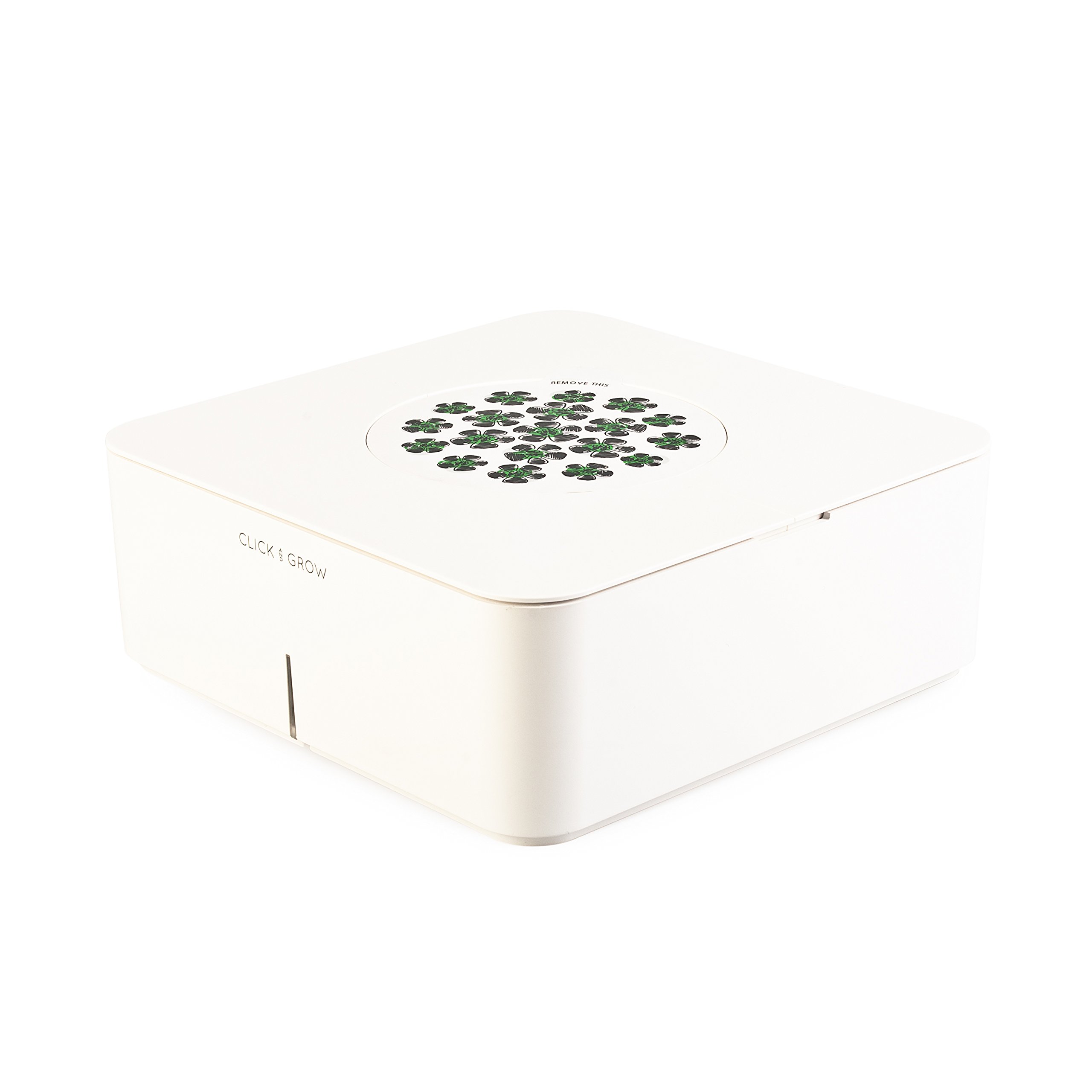 Click&Grow Starter Kit Mini Tomato Pianta di Mini Pomodori