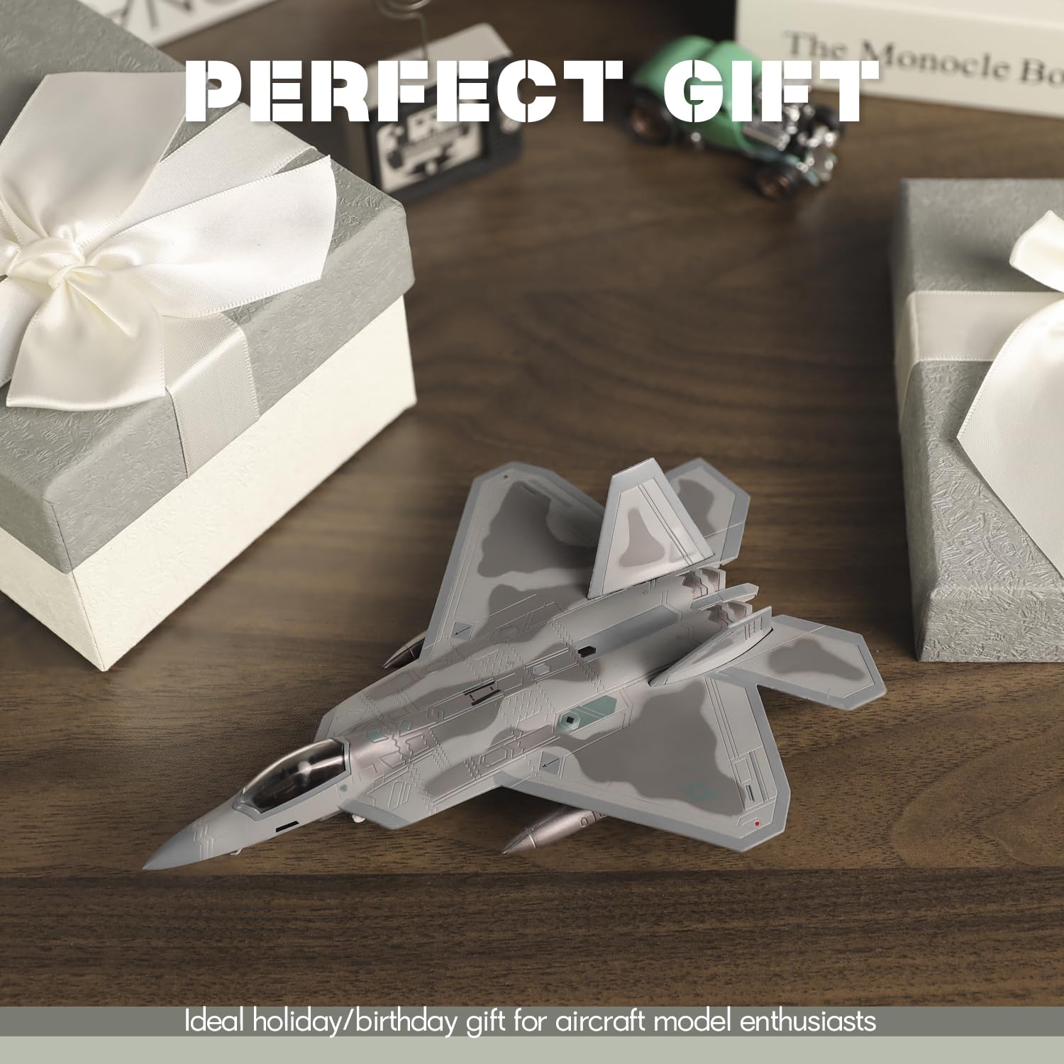 Amazon.com: SEBUNAS 1/100 Scale F-22 Raptor Fighter Jet Model USAF