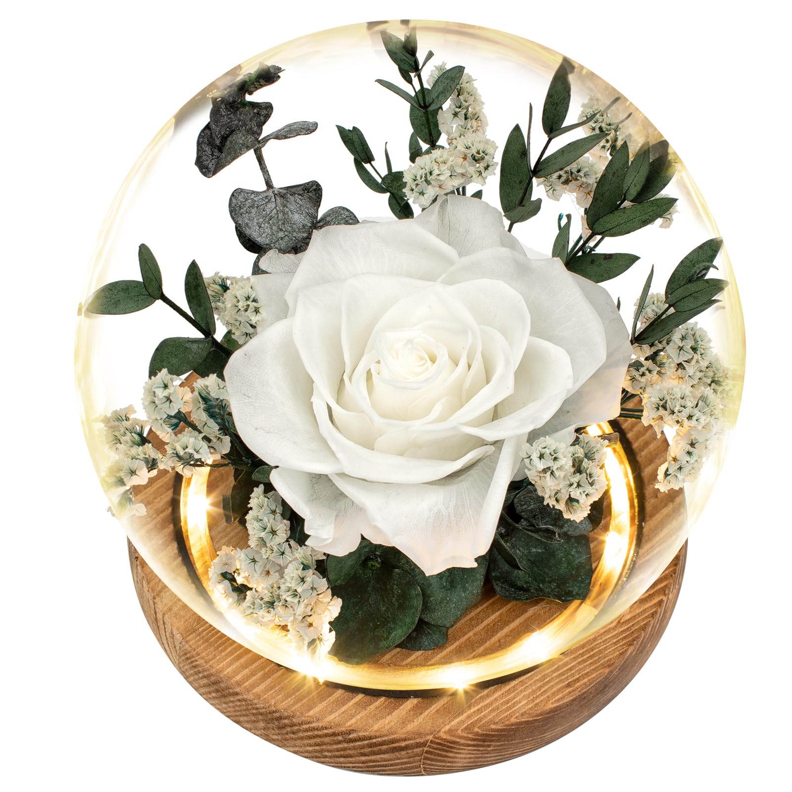 Regalo Flor Preserved Roses & Preserved Flowers Gift for Women, Roses that Last Forever, Flowers for Delivery Prime, White Roses – Birthday, Mother’s Day &Valentine