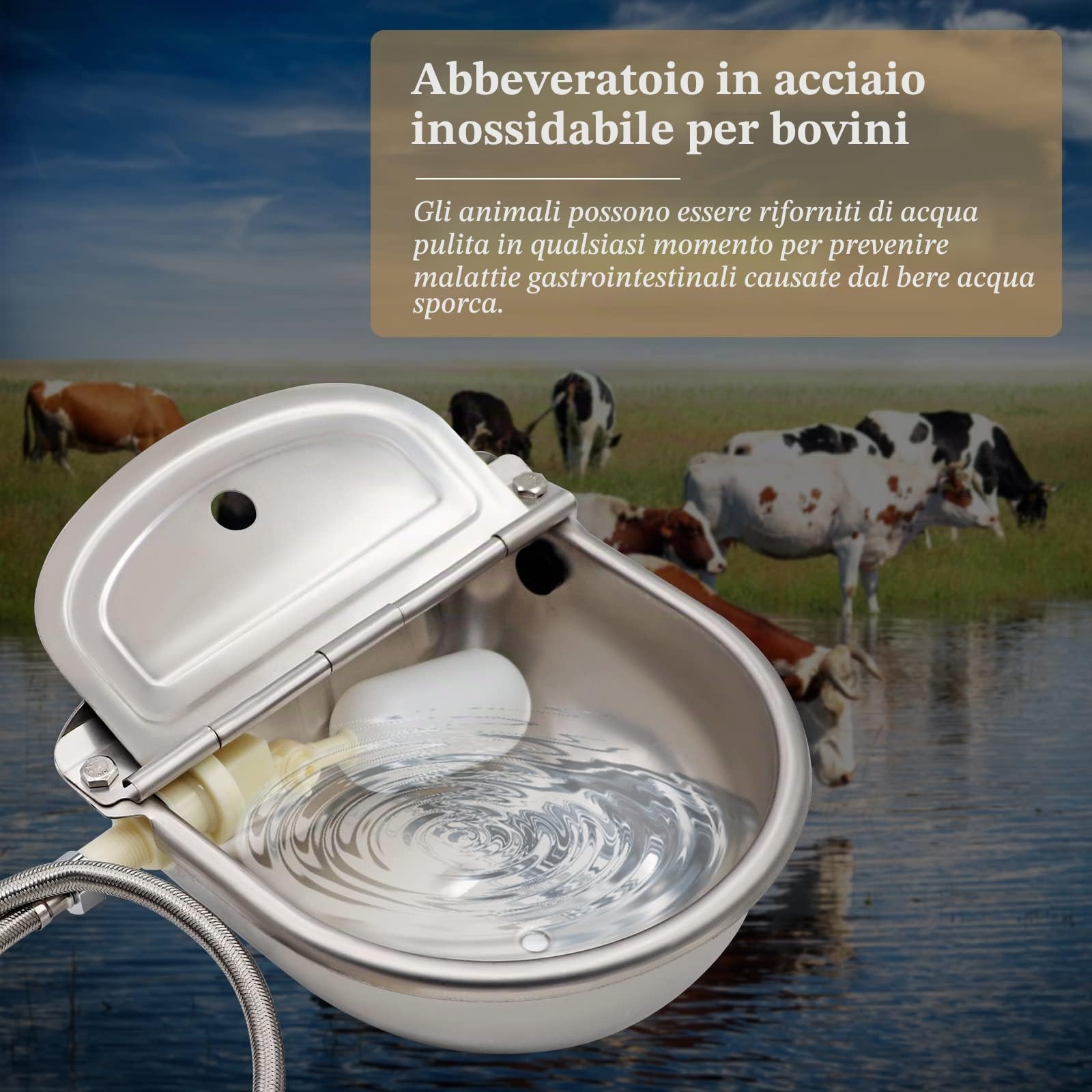 Abbeveratoio automatico di manzo con valvola galleggiante per cavalli bovini caprini suini cani