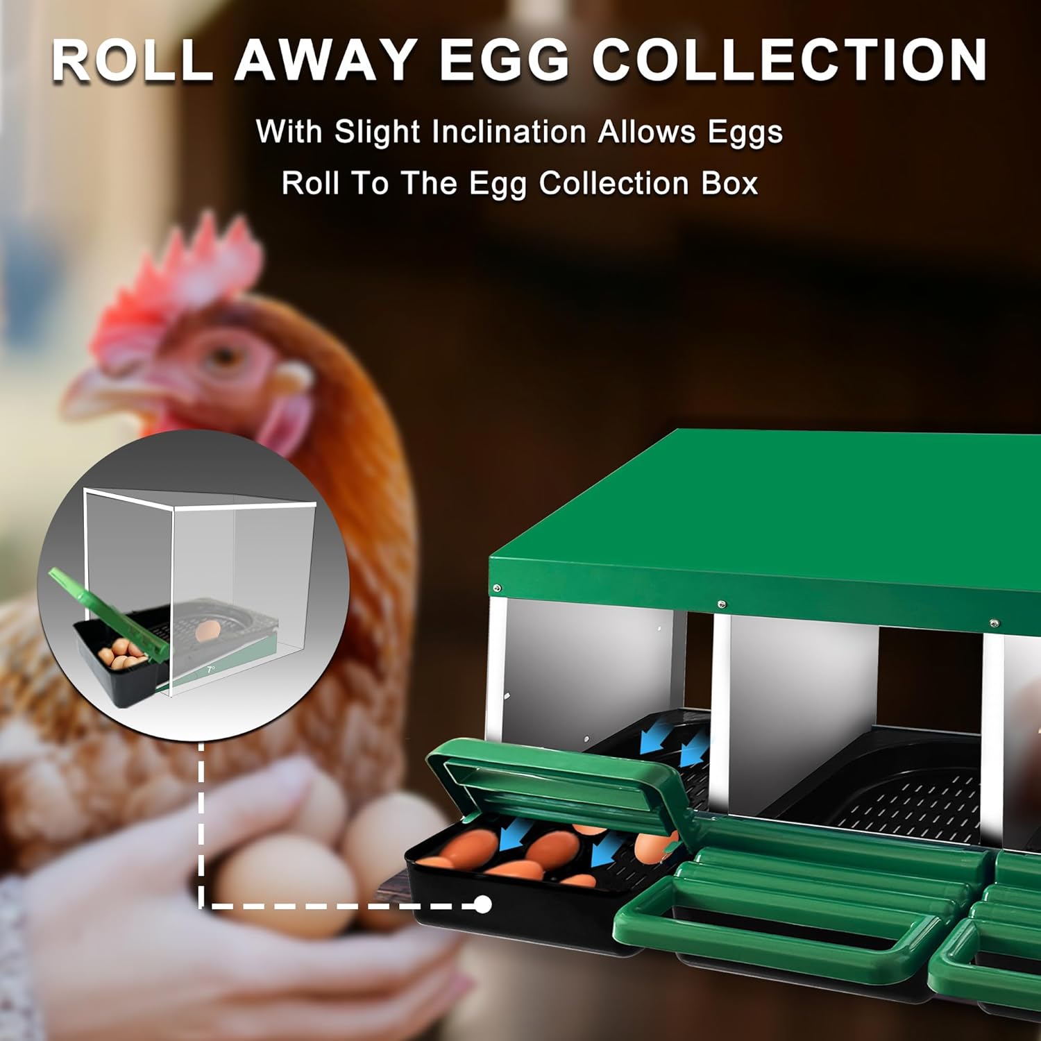 Chicken Nesting Box, 3 Compartments Chickens Egg Laying Nest Boxes for Hens Green