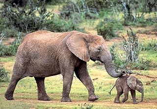 بازل ذا جورني بيجينز، 300 قطعة، من توماكس، طفل