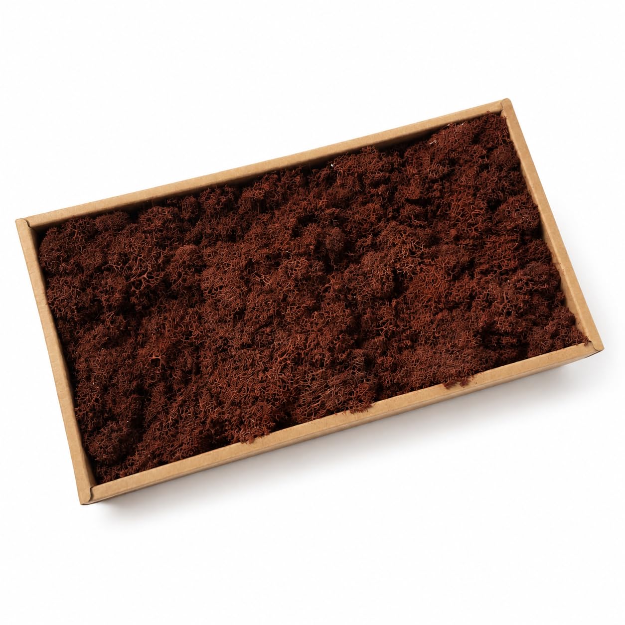 ZenceWell Preserved Reindeer Moss 500g for Crafts and Décor, Dark Brown