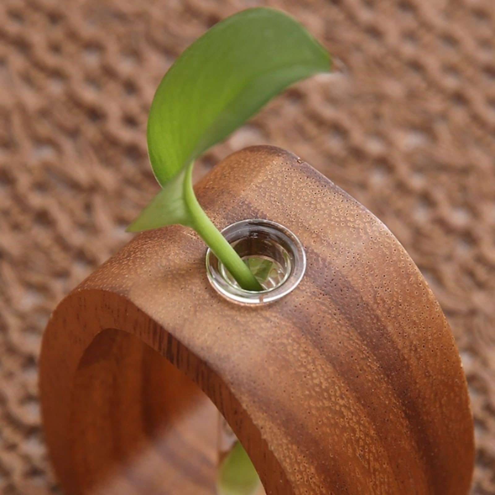 Blumenvase aus Walnussholz und Glas, transparentes Reagenzglas, kleine Blumenvasen, Massivholz-Glasvase, kreativer Walnussholzrahmen, Schreibtisch, Hydrokultur-Ornamente für Zuhause und Büro Desktop