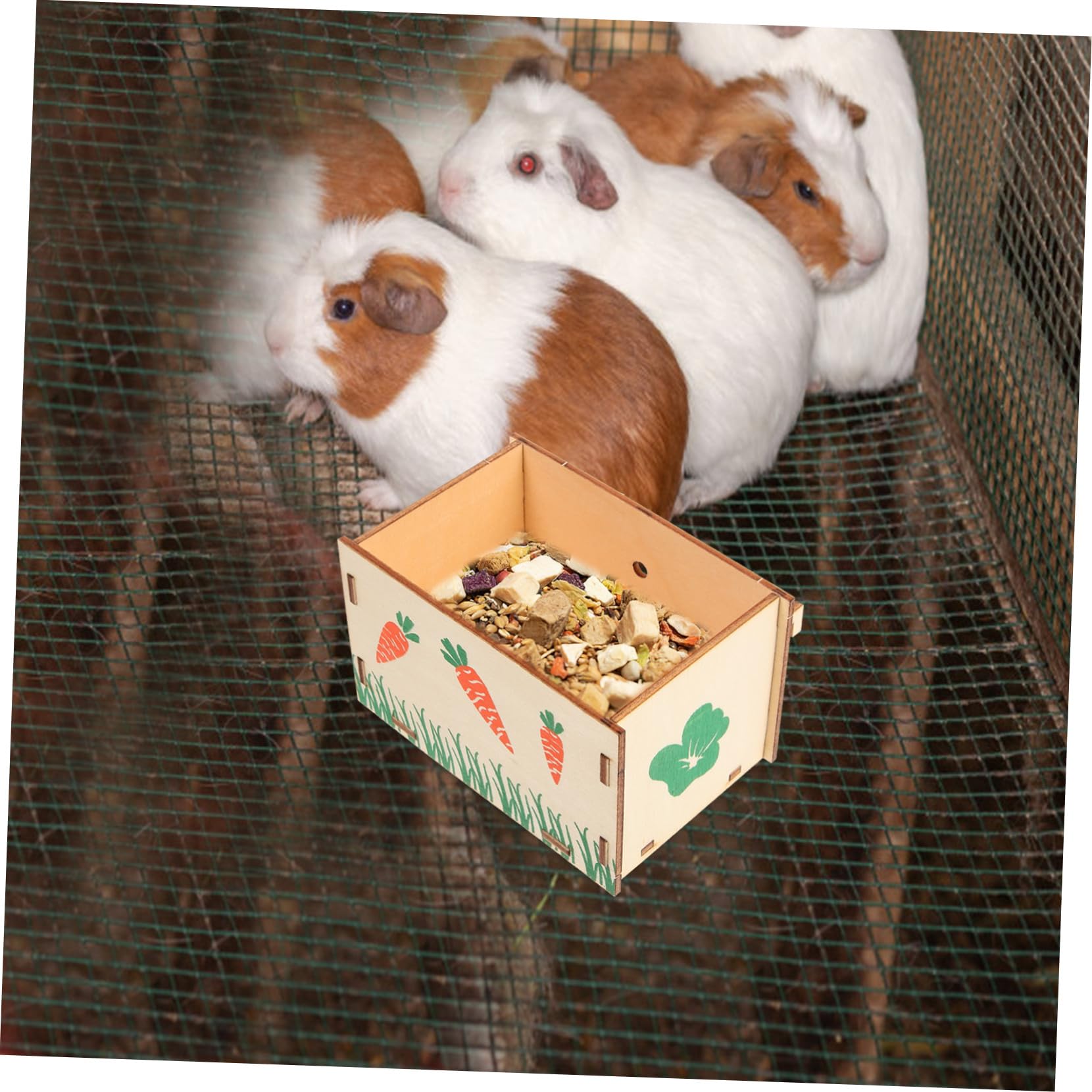 Toyvian Wooden Feeder for Pets Durable Rabbit and Guinea Pig Food Dispenser Convenient Daily Use Bunny Feeding Bowl Smooth Surface Hay Holder for Hamsters and Other