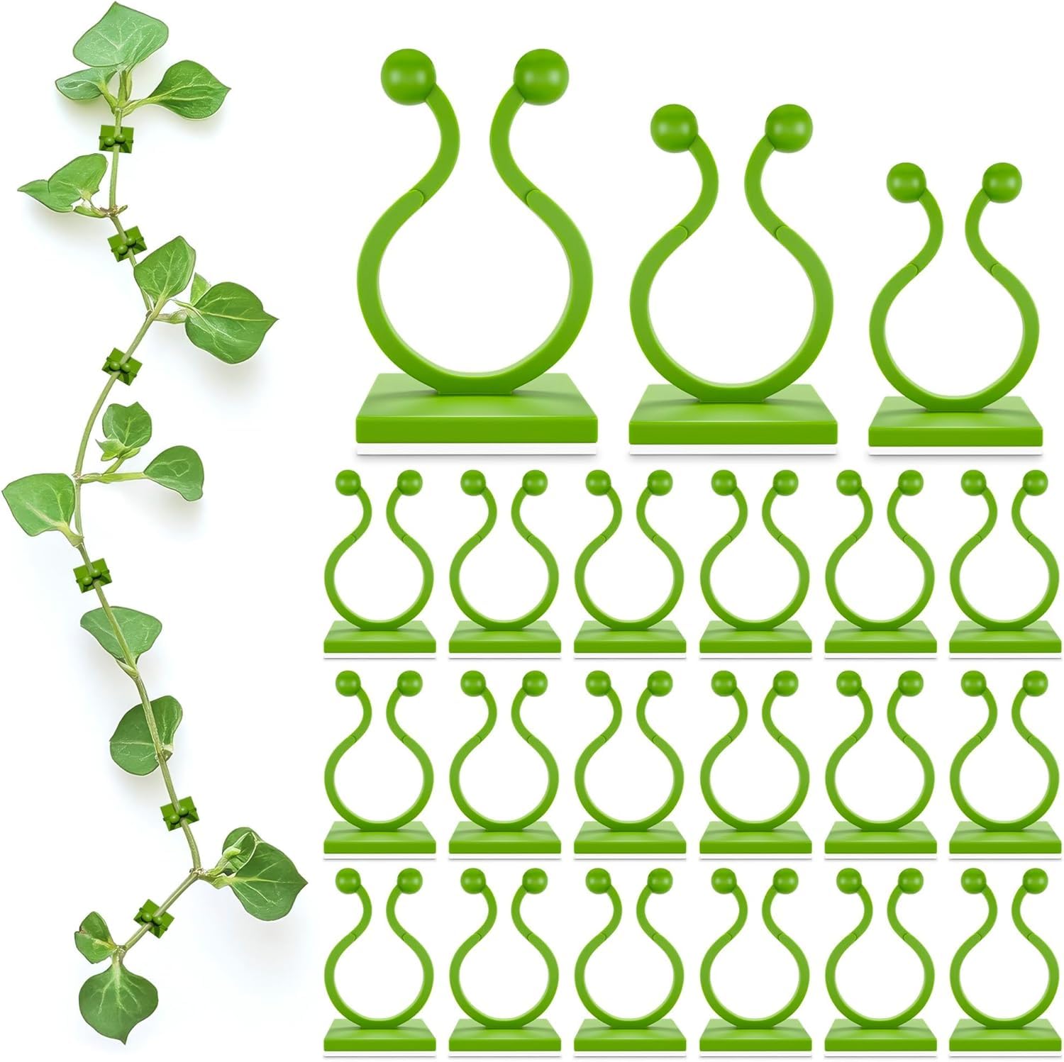 15 Pcs Self-Adhesive Plant Climbing Clips – Clear Vine Support Clips for Wall, Garden & Indoor Plants – Invisible Sticky Hooks for Plant Binding, Money Plant Holder, Climber Support Fixtures-image-10