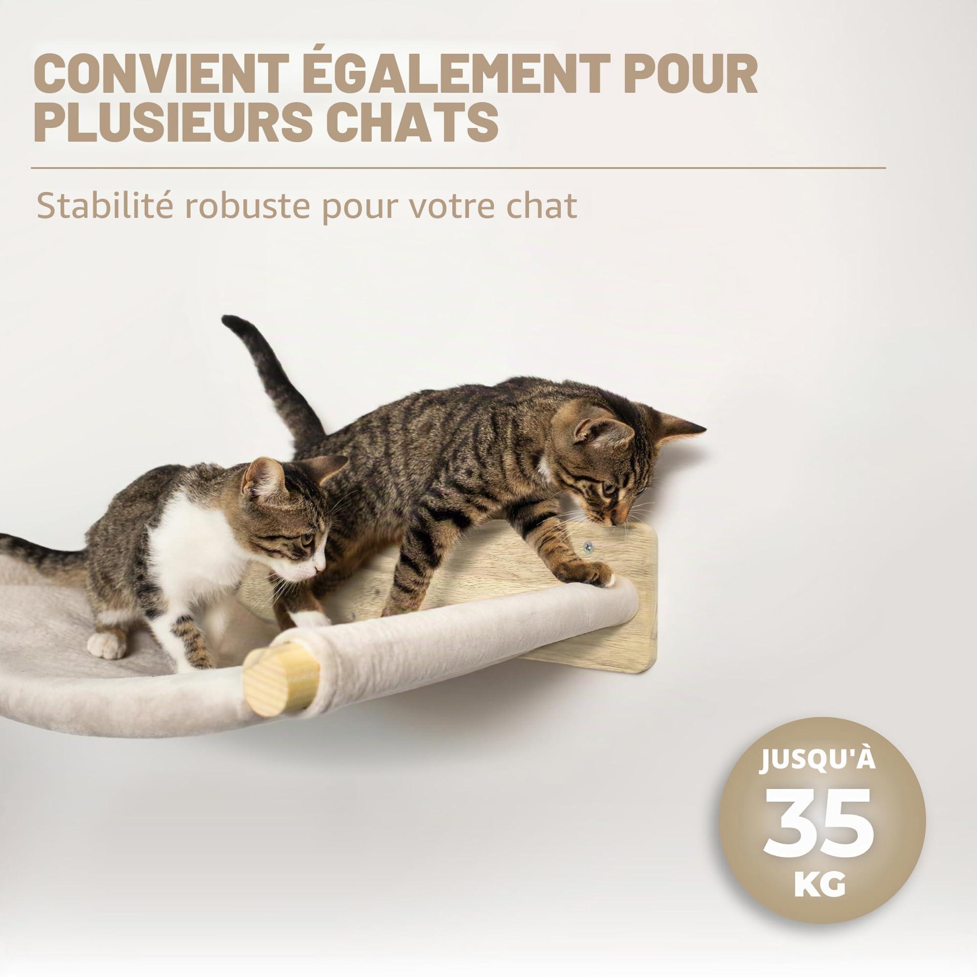 WOOWOOD Arbre à Chat Mural avec hamac, 2 escaliers muraux, Parcours Mural pour Chat intérieur, Bois, Naturel foncé