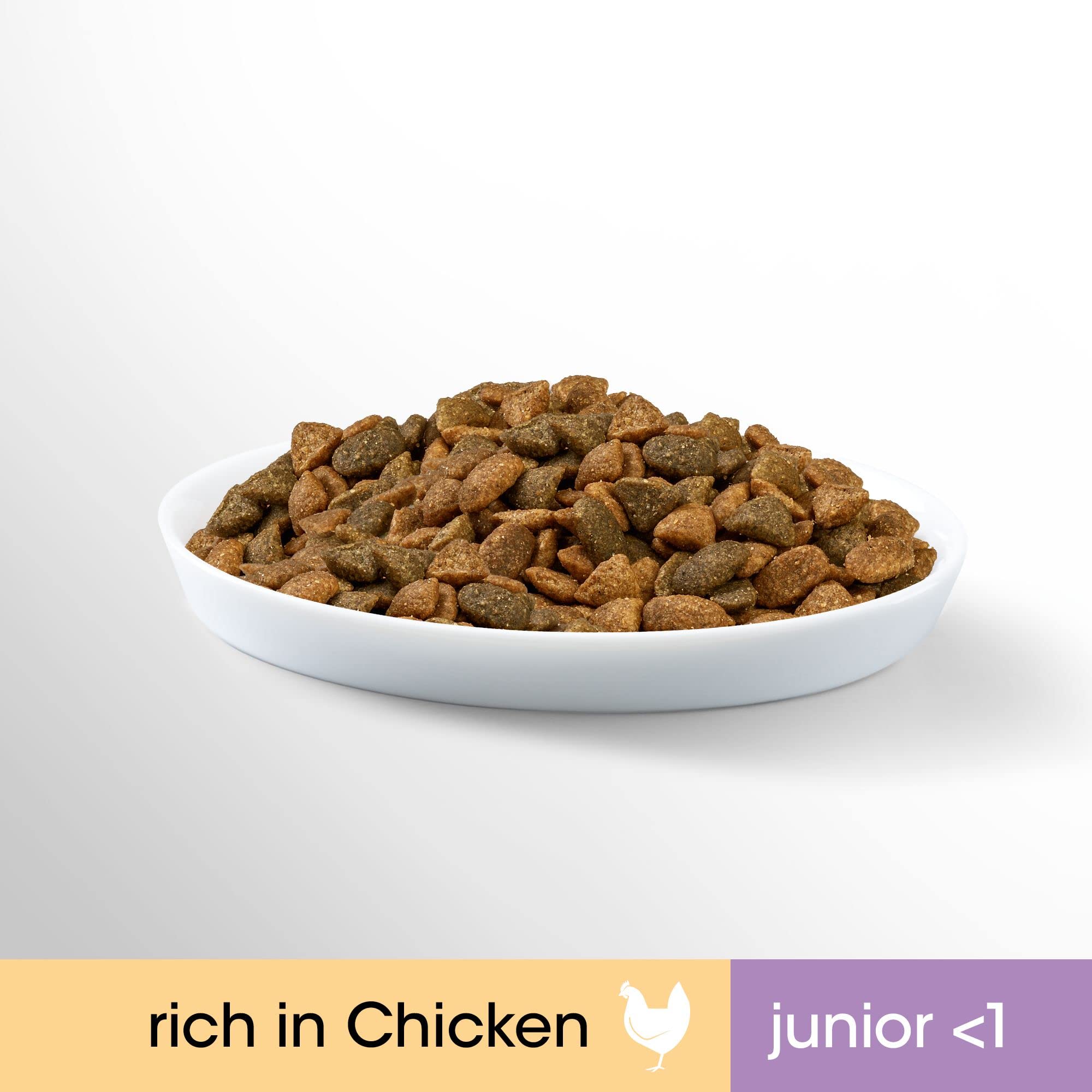 Perfect Fit Junior <1 - Nourriture sèche pour jeunes chats de moins de 1 an - Poulet - Soutient la vitalité - 7kg