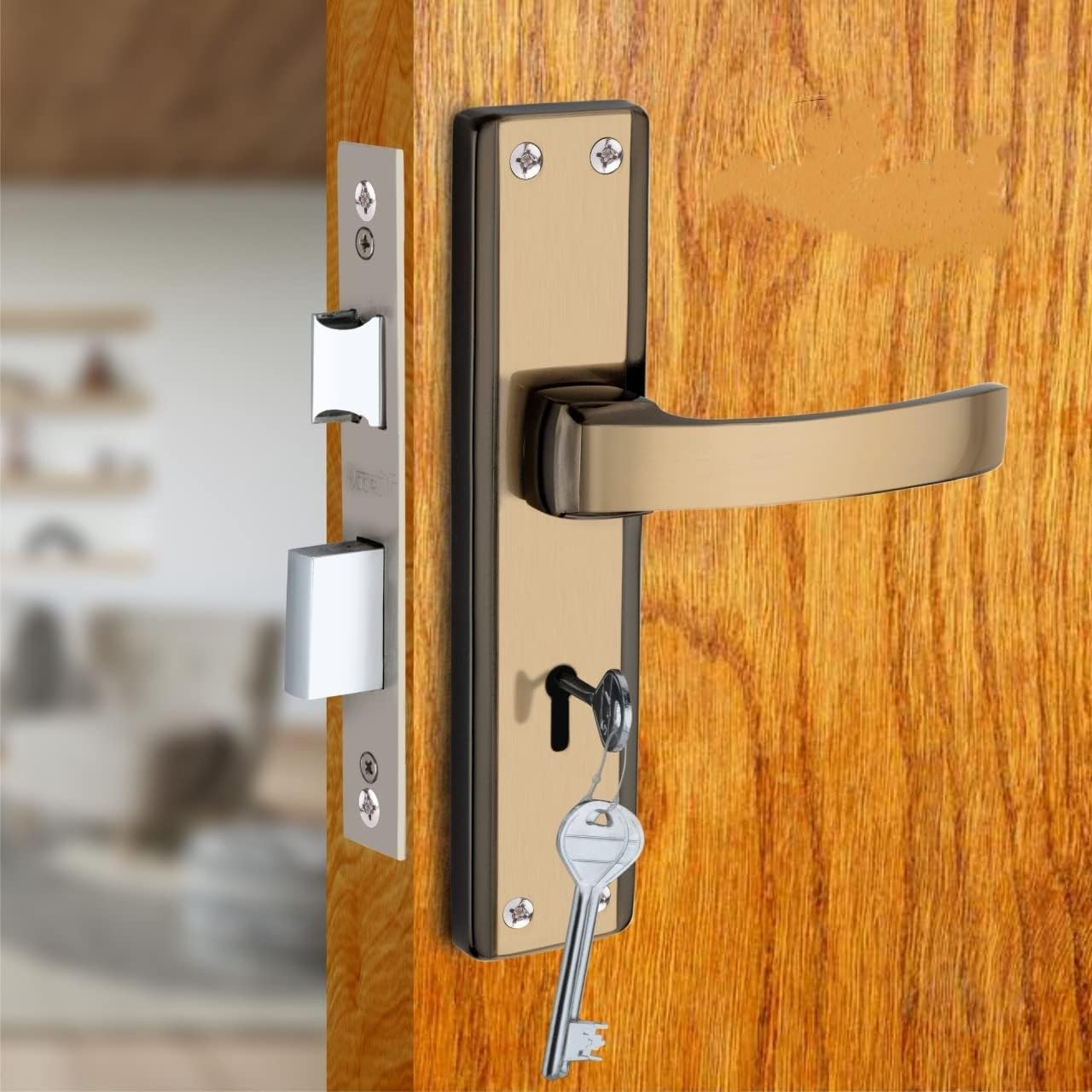 HYZIK Door Lock for Main Door with 3 Keys Lock for Offices, Bathroom, Bedroom, (Brown/Gold Size 8 inches Key) Door Lock. (B0C6L3ZRQF) Amazon Price History, Amazon Price Tracker