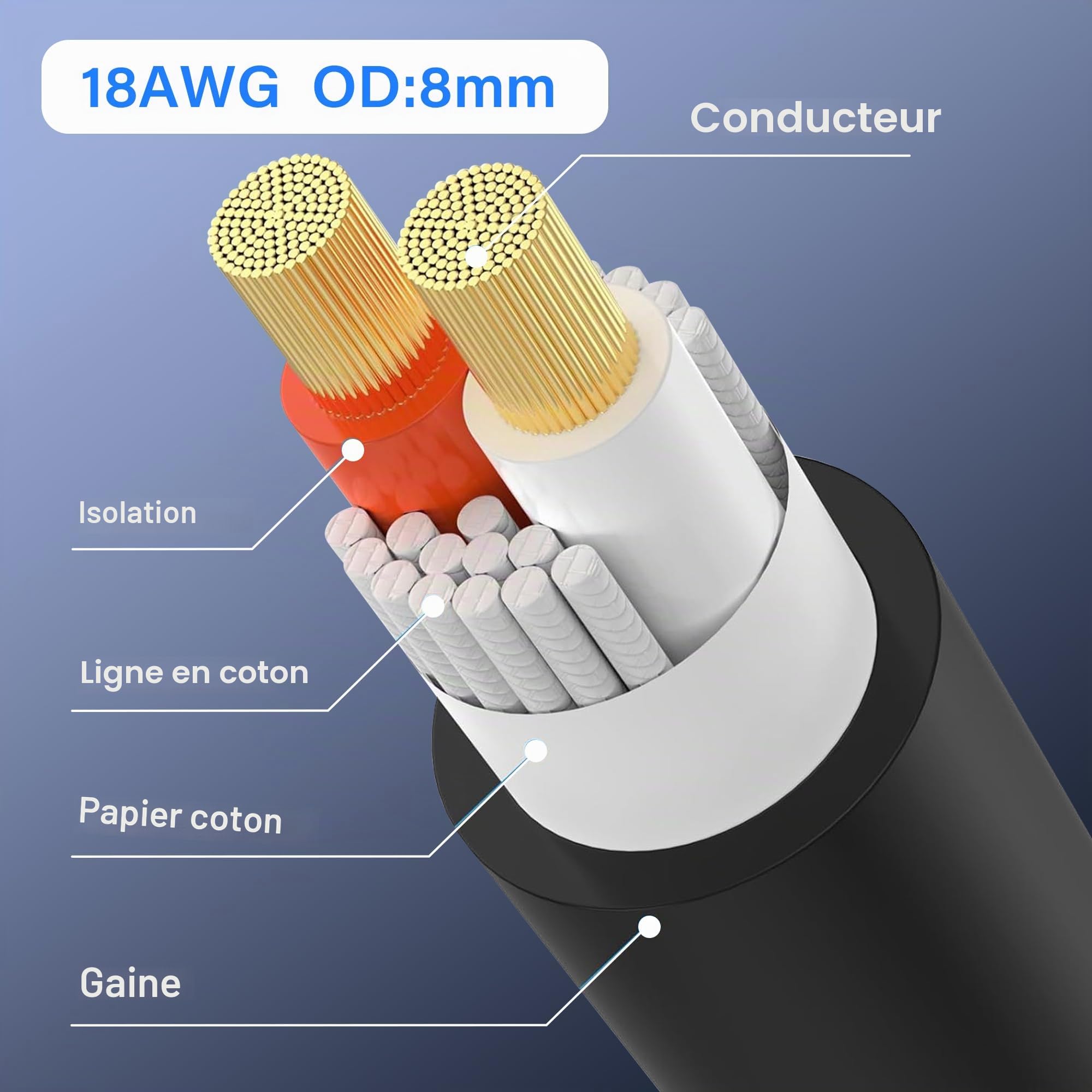 SinLoon Câble Speakon vers XLR, 18 AWG Speakon vers XLR femelle à 3 broches, câble d'extension audio avec Twist Lock pour amplificateur Pro DJ PA Stage (1,8 m mâle Speakon)