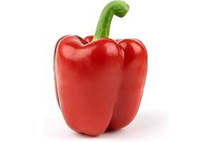 Fresh Bell Peppers: Savor the Sweet Taste of Nature