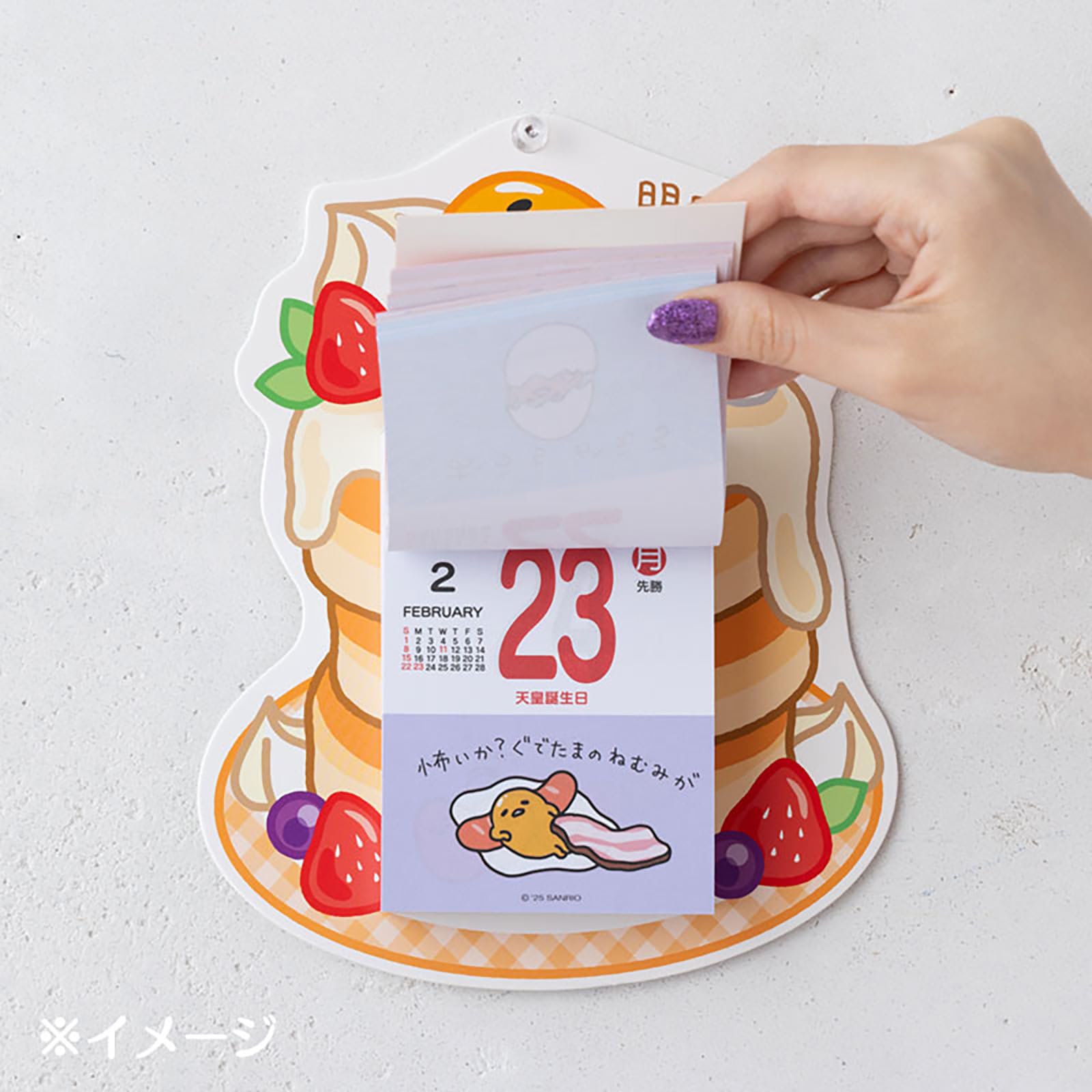 Amazon.co.jp: サンリオ(SANRIO) 日めくりウォールカレンダー 2026 ぐ