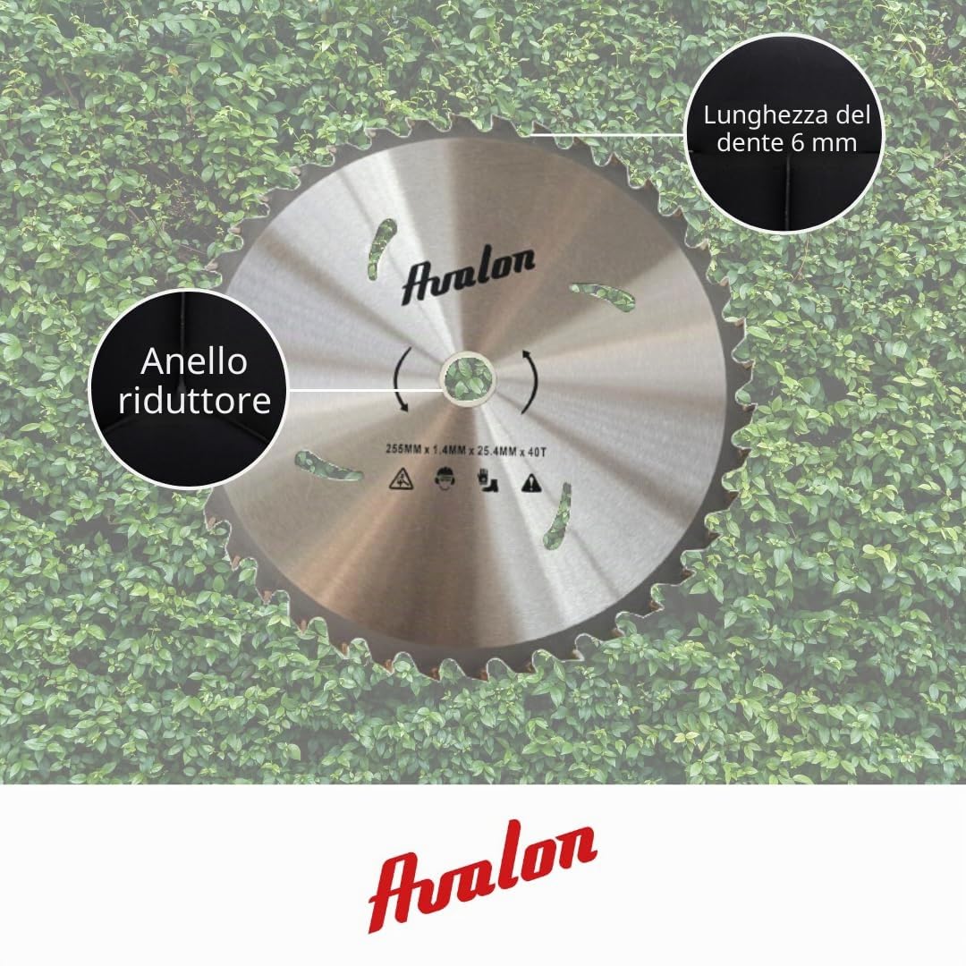 Avalon Pro - Disco professionale da 40 denti per decespugliatore, lama speciale per steli legnosi 255 x 1,4, lunghezza dente di widia 6,0 mm