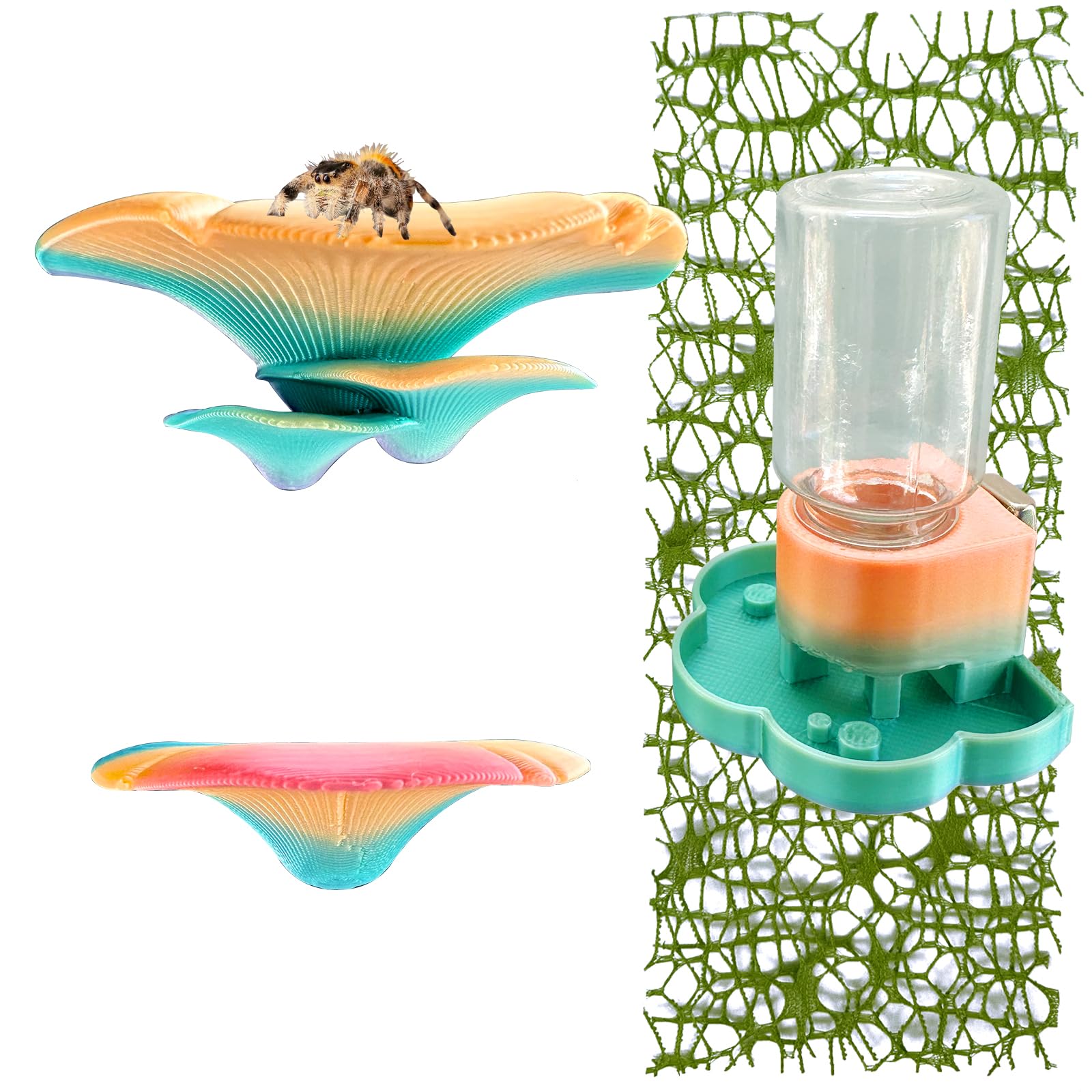 5Pcs Jumping Spider Accessories Set, Jumping Spider Enclosure Mushroom And Water Dispenser, Jumping Spider Web with Magnets, Jumping Spider Enclosure