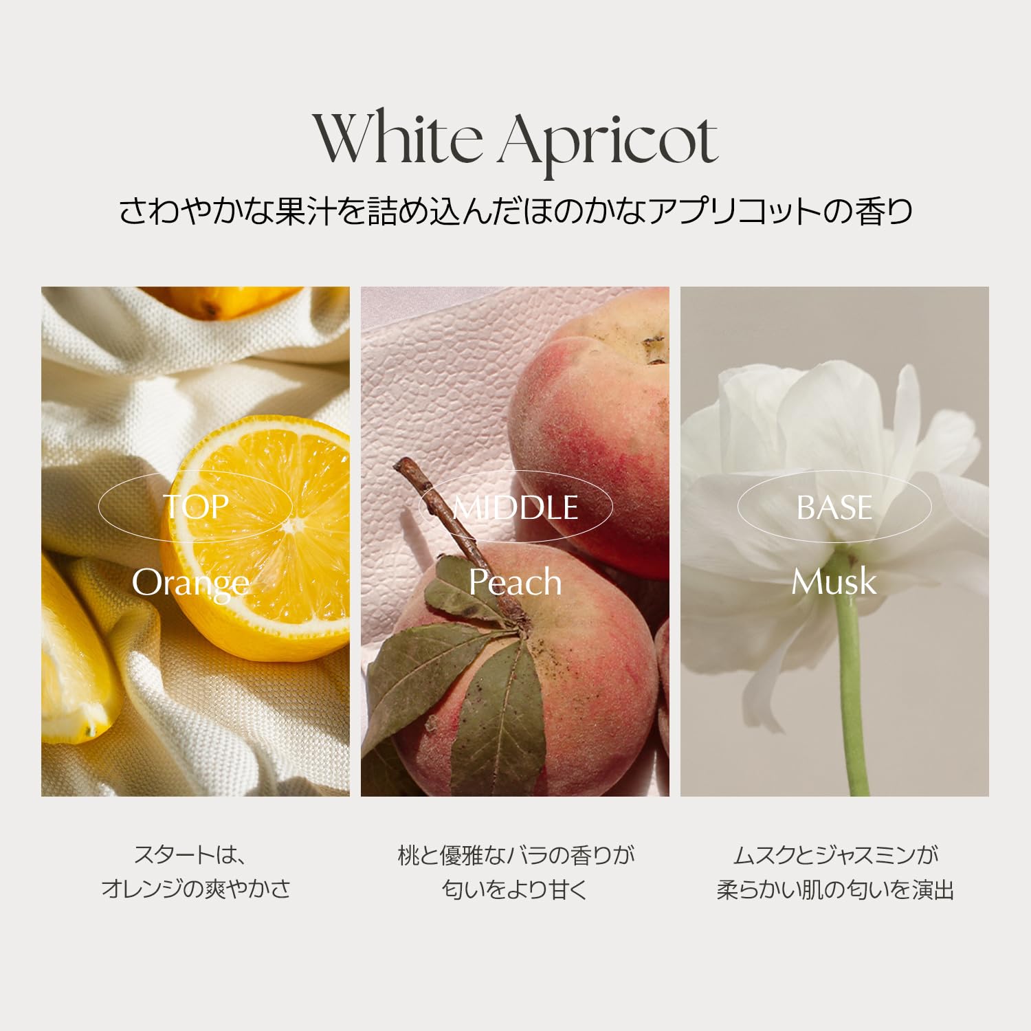 Amazon.co.jp: [LUAFEE] ルアぺ公式 オードパルファム ミニチュア 5ml