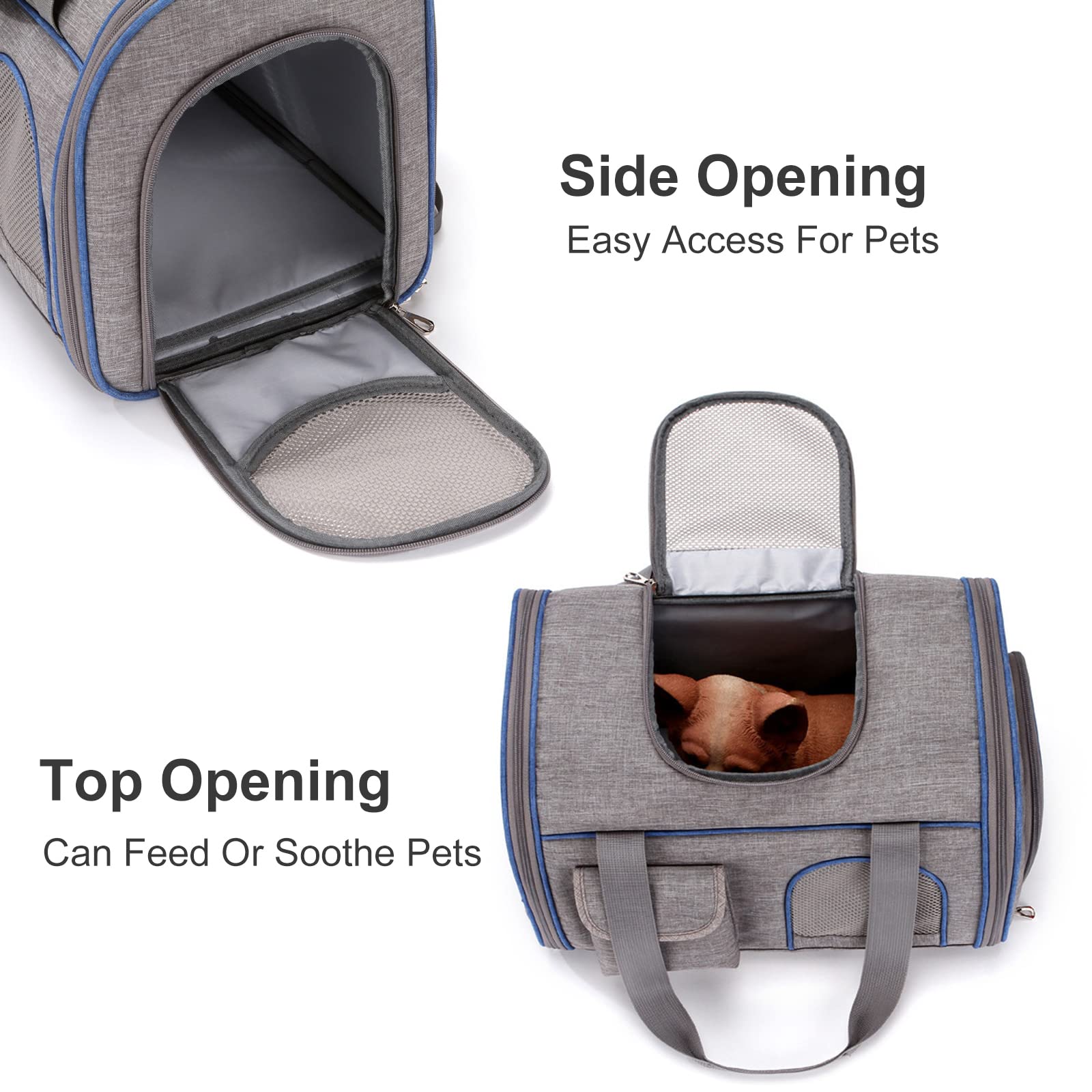 PETCUTE Mochilas para Perros Gatos,Mochila Transportín Gato,Mochila Plegable Transportin para Perro Gato,Transpirable Bolsa de Transporte para Mascotas Gatos Perros con Almohadilla Removible