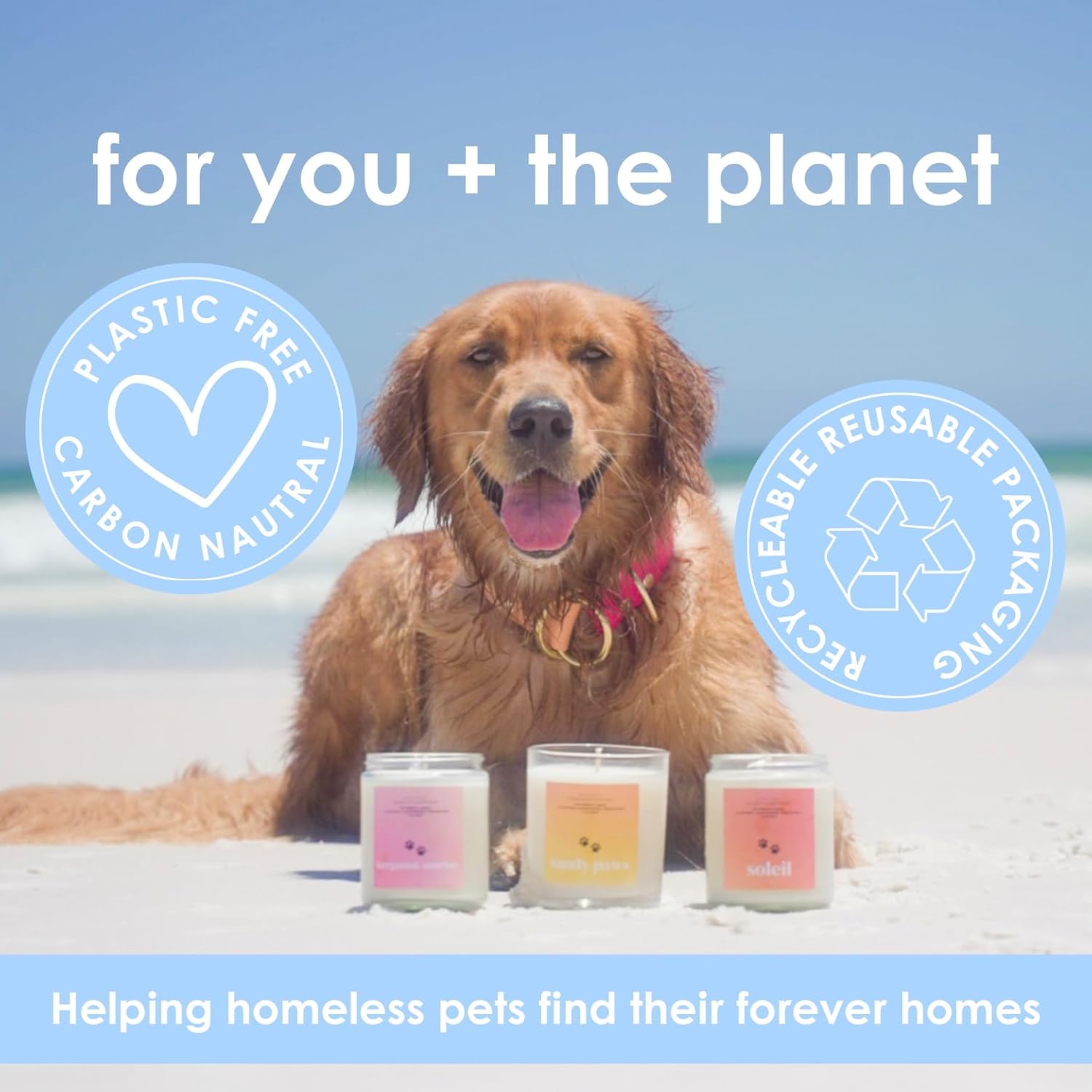 Pet Safe Candle for Dogs | Non Toxic Coconut Apricot Wax Candle | Clean Burning, Paraffin-Free | Pet Odor Eliminating Home Fragrance | Horchata | 9 oz