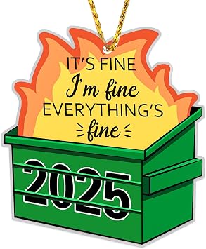 JUESMOS Funny Christmas Ornaments 2025 Dumpster Fire Ornaments for Christmas Tree Decoration Everything is Fine Ornament Emotional Support Dumpster Fire Ornament Xmas Keepsake Gifts