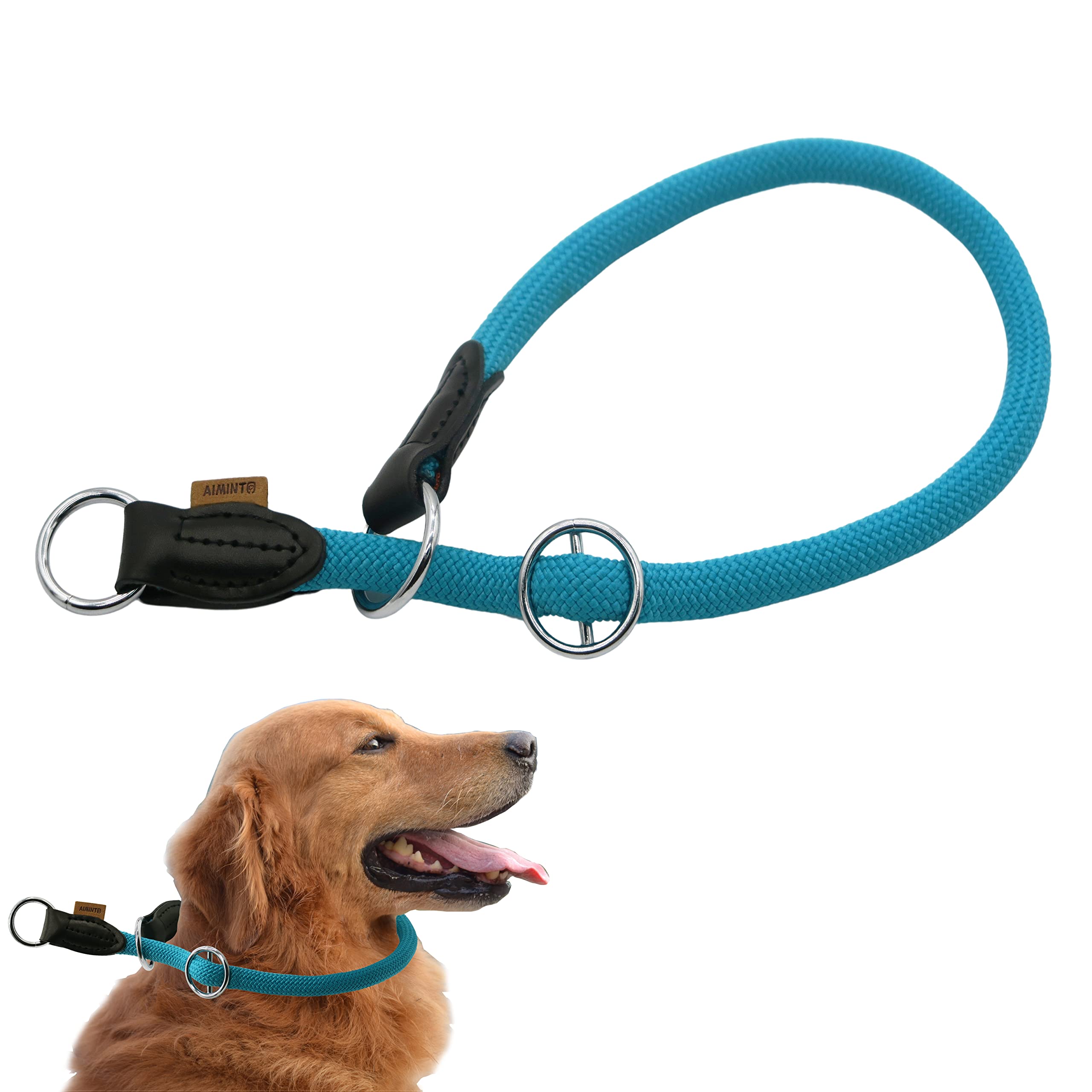 Can A Dog Wear Two Collars