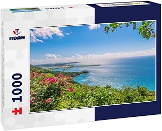Noah Jigsaw Puzzle Saint Thomas, US Virgin Islands. Brewers Bay and Perseverance Bay. On The Background Airport Strip in The Ocean 1000 Pieces