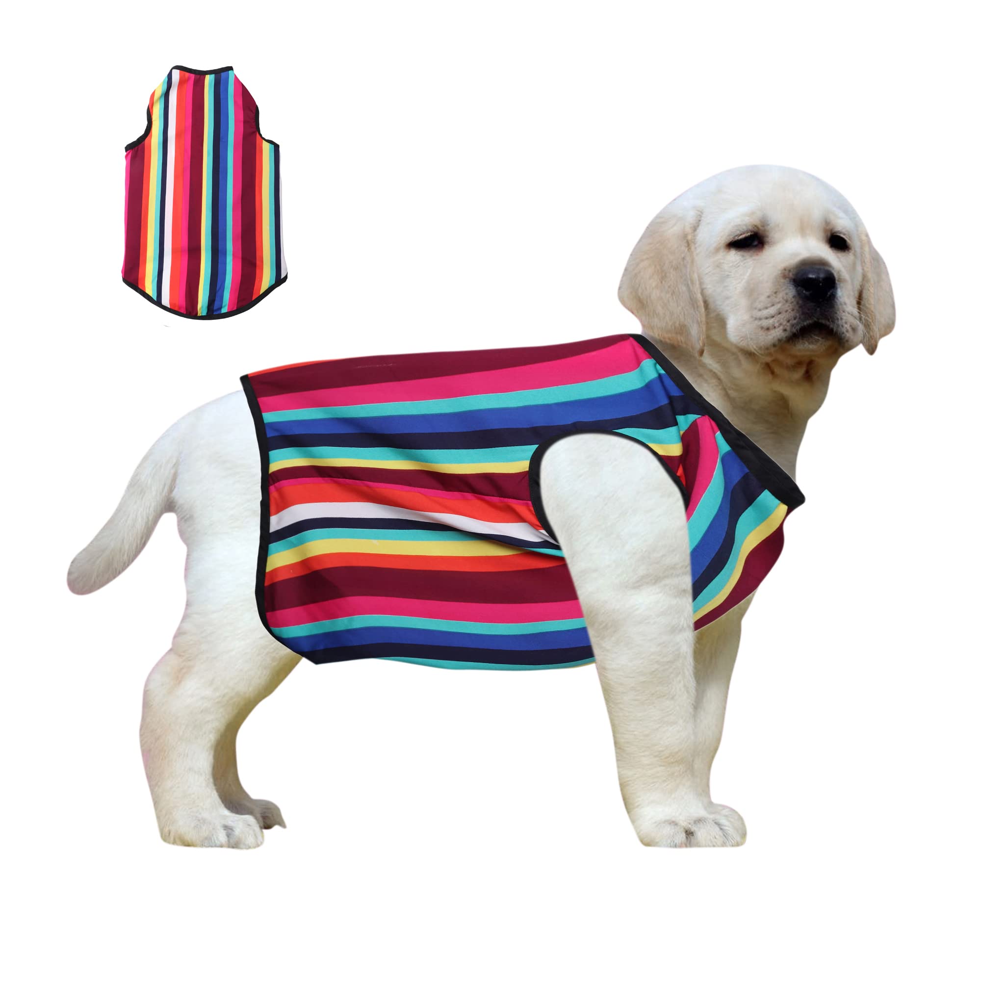 Western Era Funky Soft Cotton Dog T-Shirt, Comfortable Dog Clothing, Sleeveless Vest Puppy Outfit, Apparel (Color Strips) (Small - 14inches) (B09WRNRYVW) Amazon Price History, Amazon Price Tracker