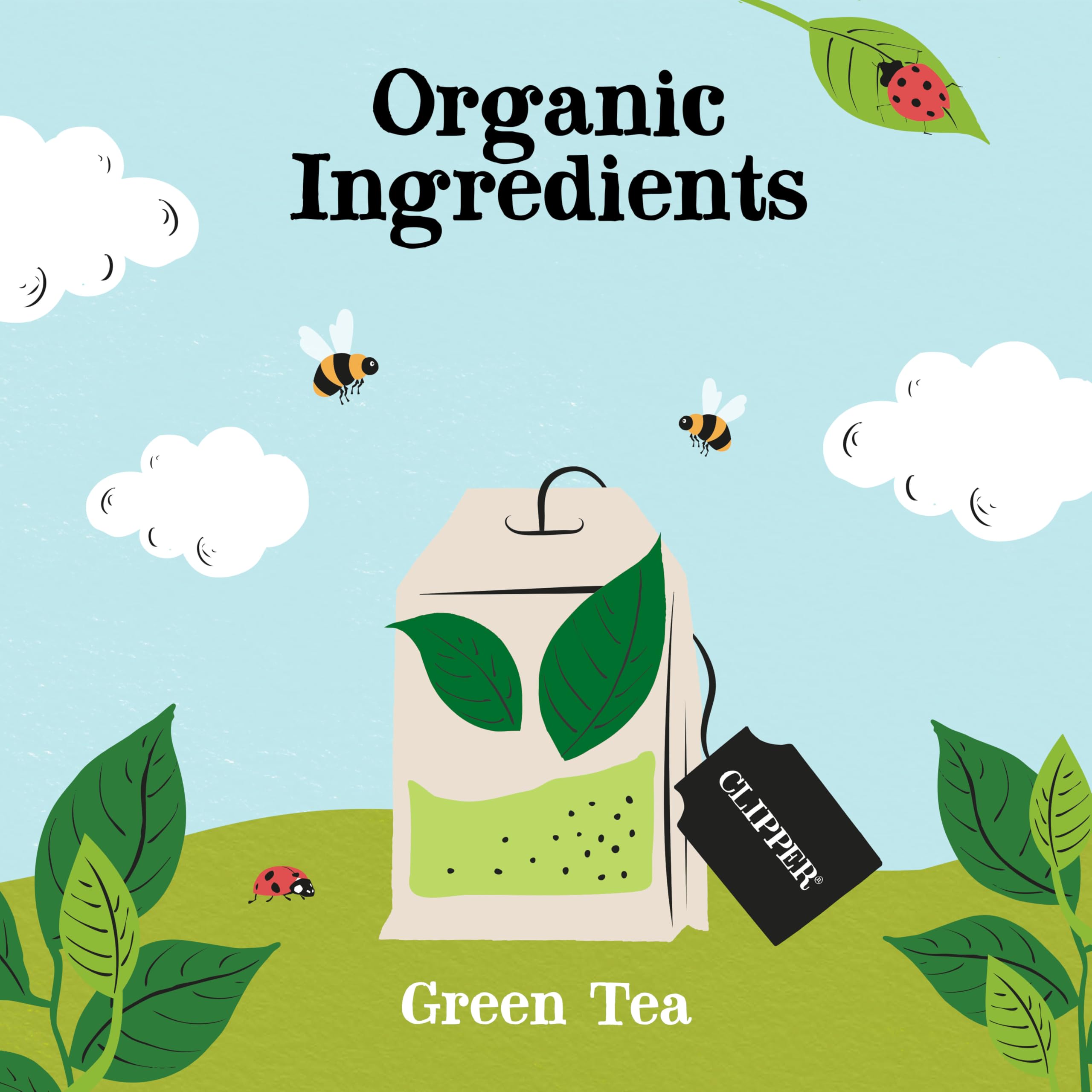 Clipper Fairtrade Organic Green Tea 250 Envelopes
