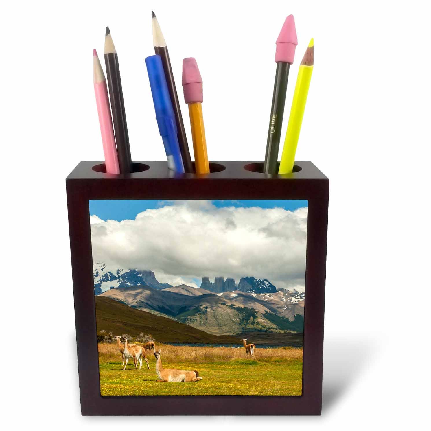 3dRoseph_228695_1 5-Inch"Chile/Patagonia/Torres Del Paine Np. Mountains and Guanacos" Tile Pen Holder