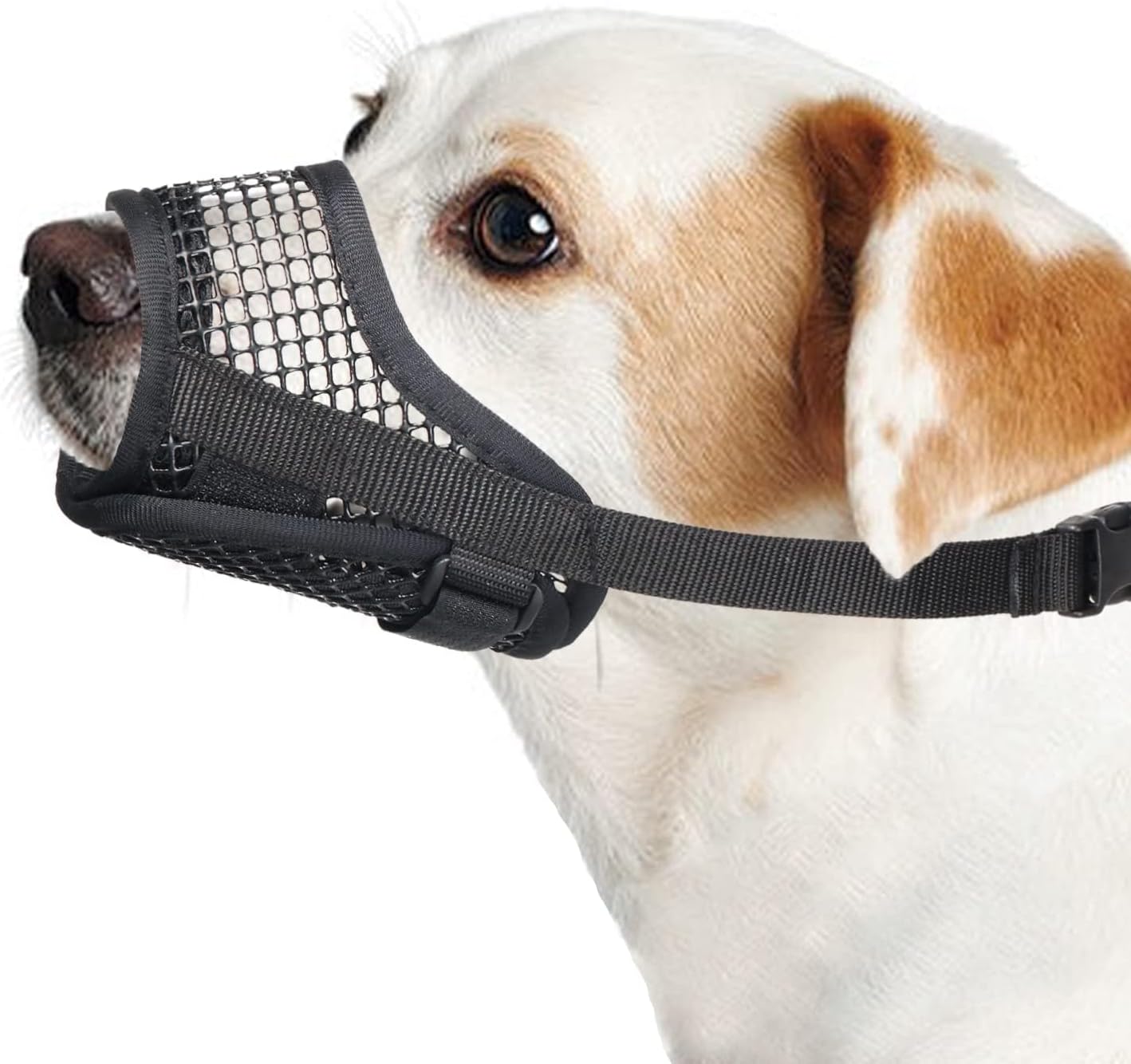 Mayerzon Dog Muzzle, Breathable Mesh Muzzles for Small