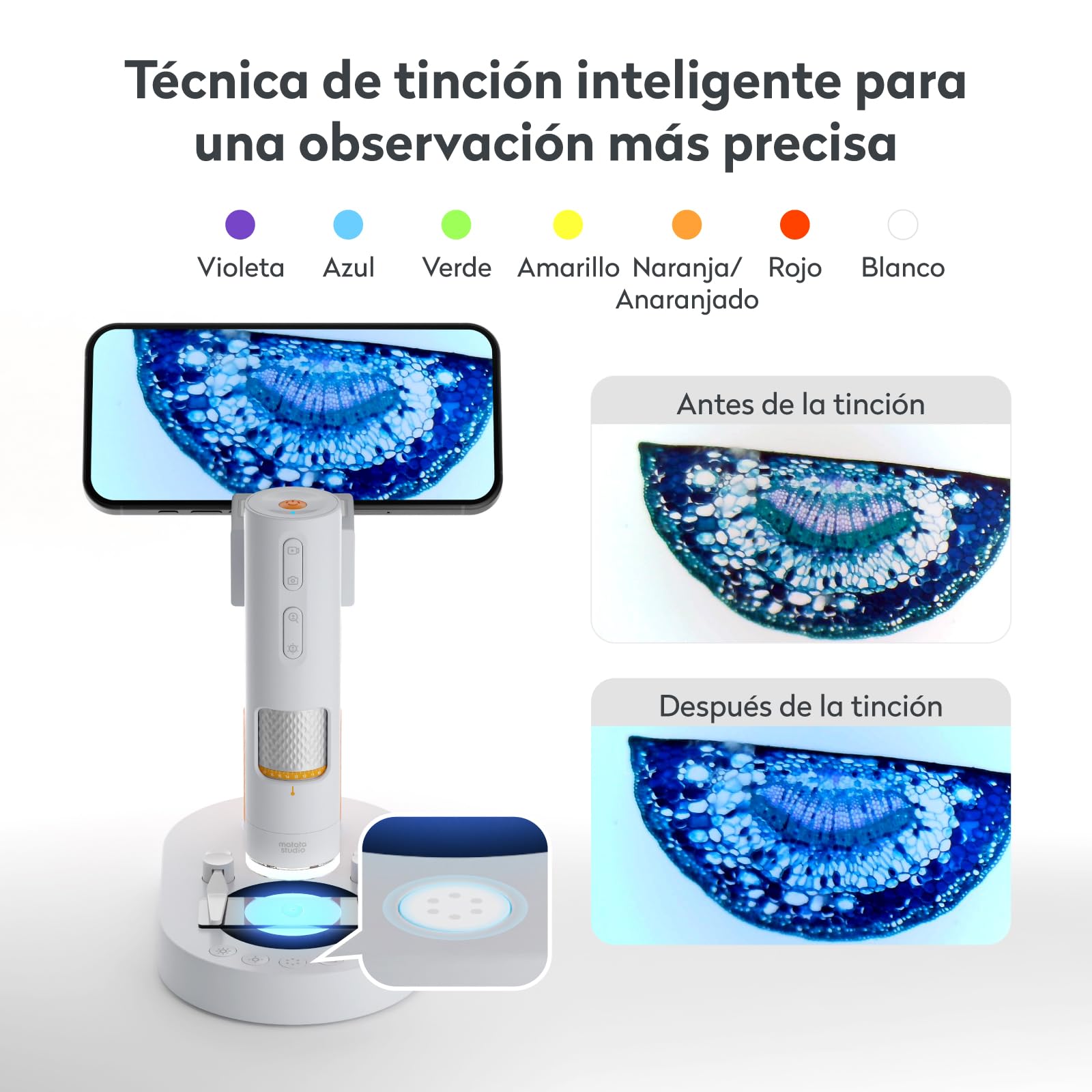 MX1-AS Microscopio Portátil para Niños 3.5x-1000x con Soporte Funcional, 2 Leds, Portaobjetos, soporta Foto y Video Microscopio Digital USB Profesional para Infantil Adultos Laboratorio