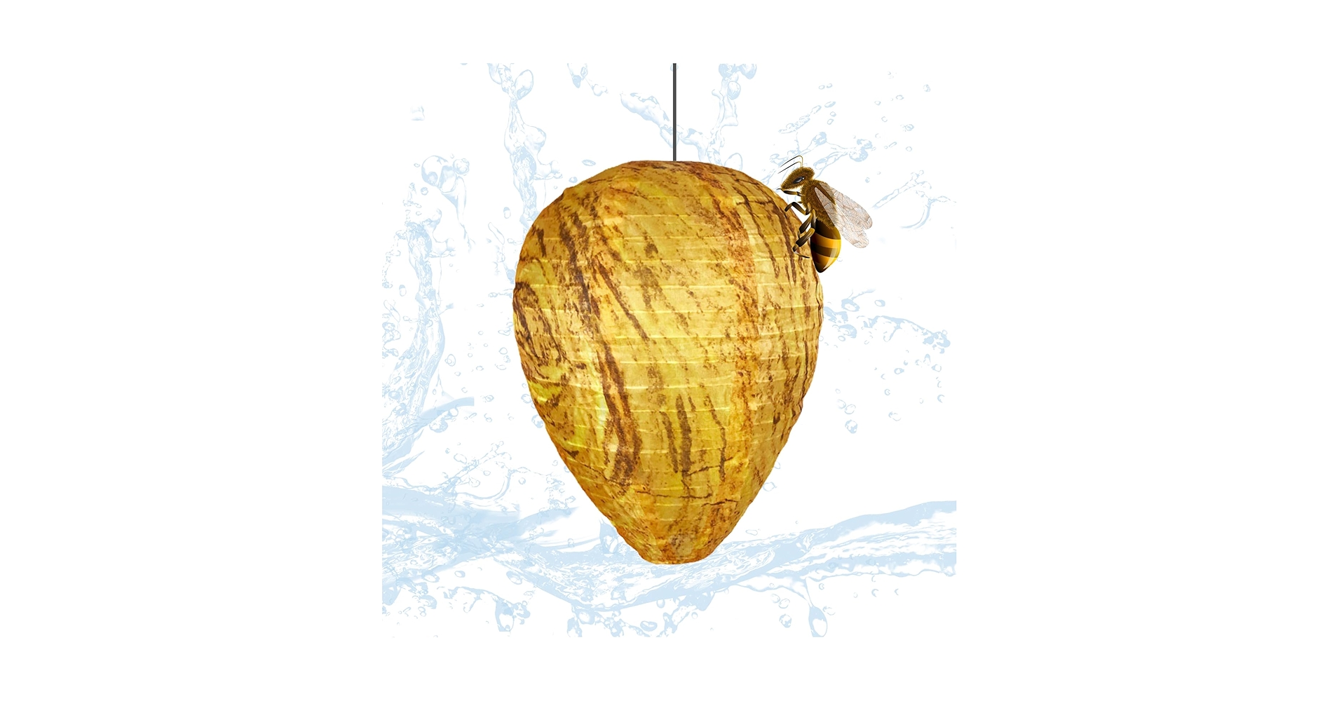 BEEHIVE（蜂の巣）　カイフランク BEEHIVE（蜂の巣） カイフランク