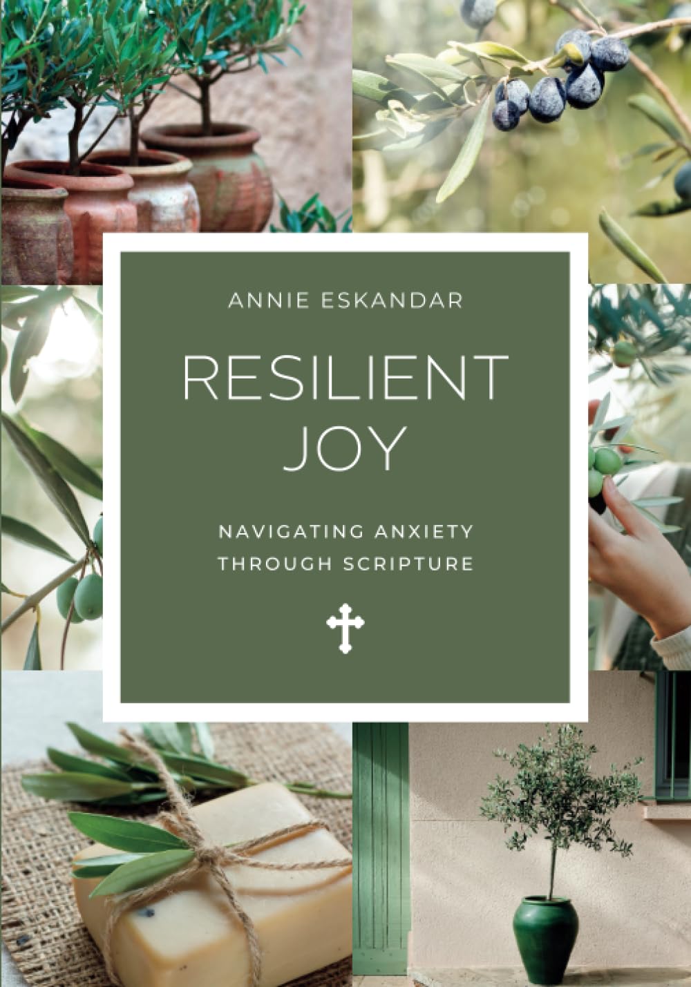 Resilient Joy: A Devotional About Navigating Anxiety Through Scripture