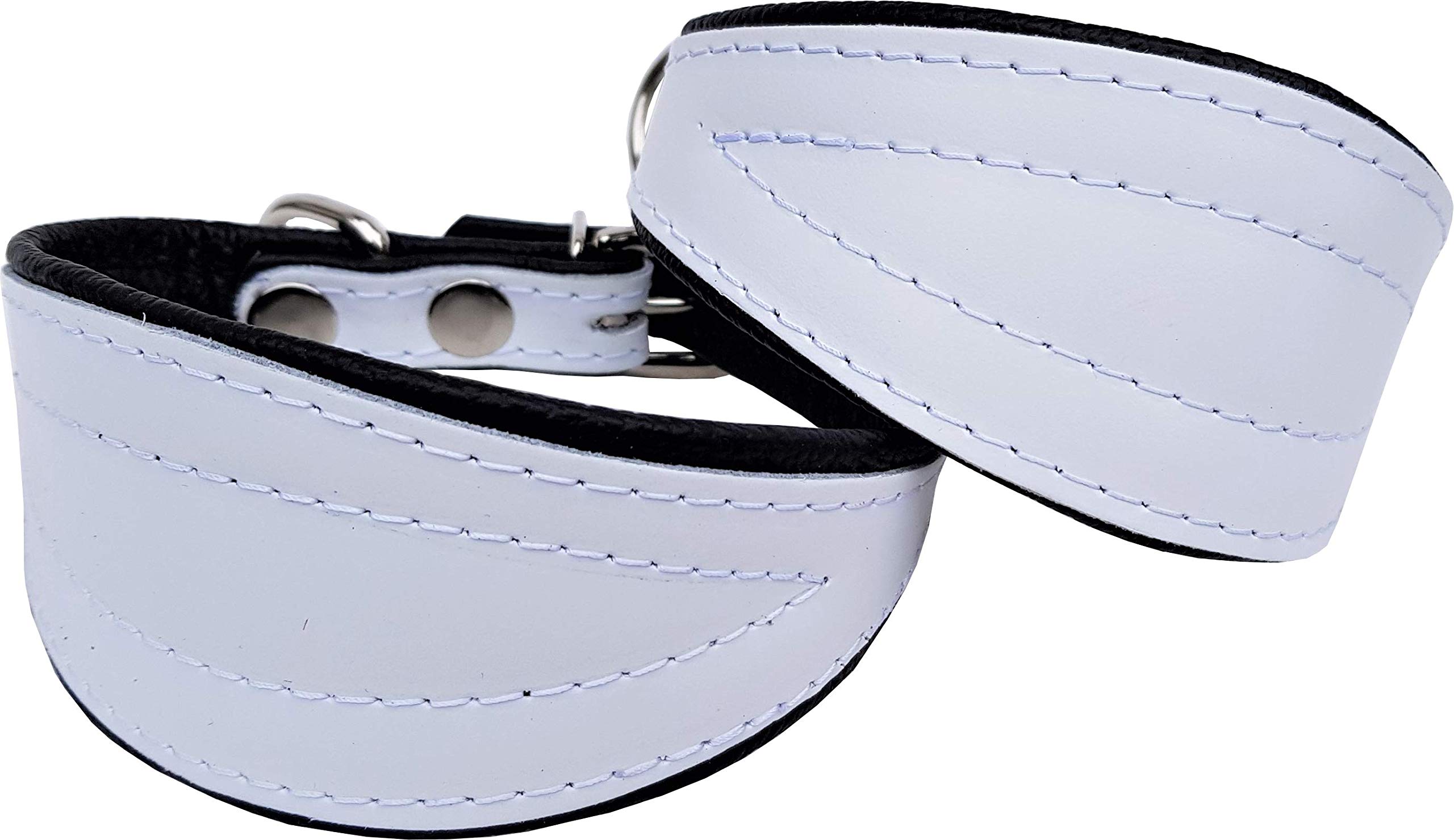 Windhund - Whippet Halsband, Halsumfang 21-25cm/45mm, Leder Weiss-Schwarz  : Amazon.de: Haustier