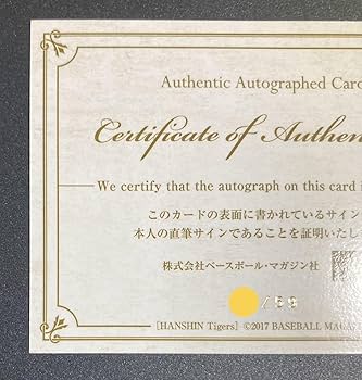 RC BBM2017 阪神 大山悠輔 30枚限定 金箔サインルーキーカード RC 71AkpESbNuL._UF894,1000_QL80_.jpg