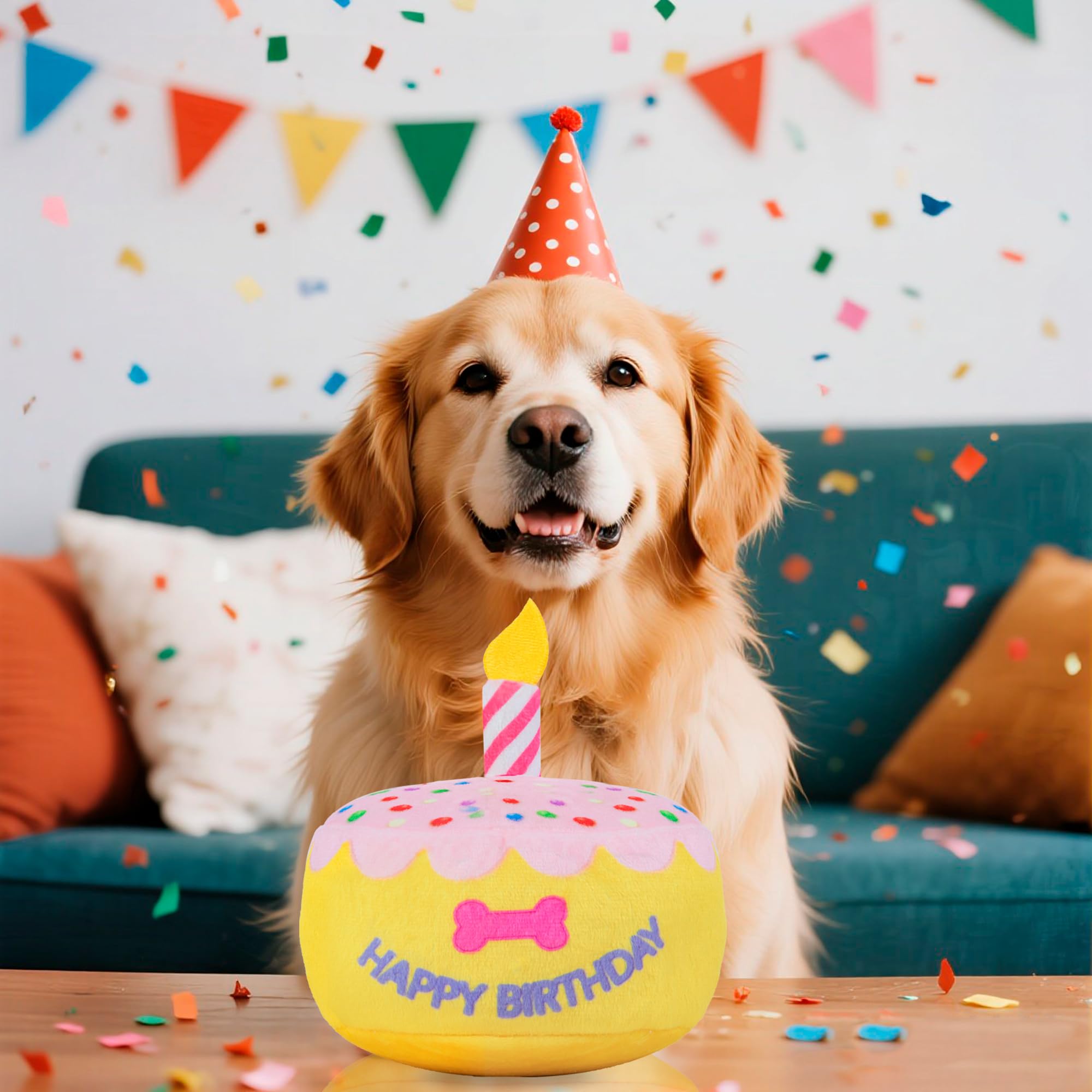 Jouet d'anniversaire pour chien