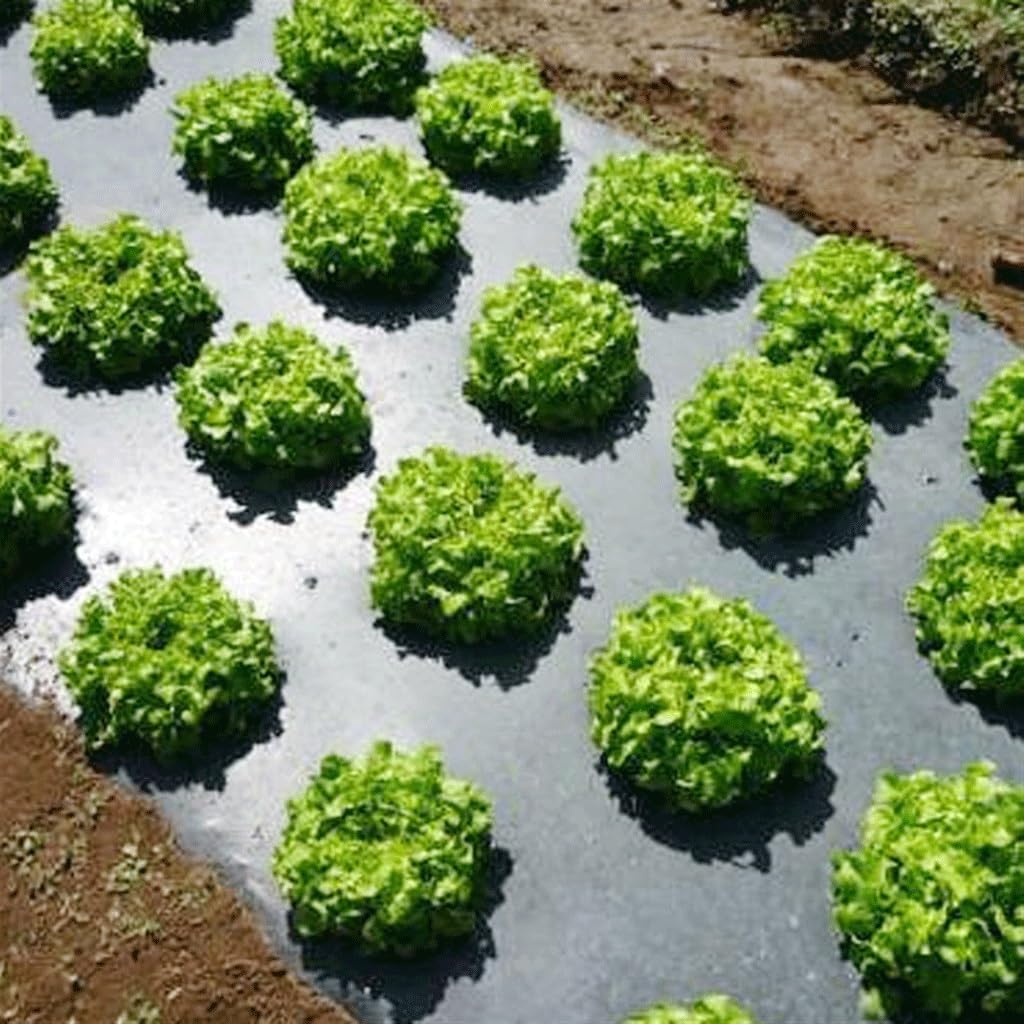 Grube, 0,014 mm, czarne arkusze osłonowe z polietylenu ogrodowego, 1 x 10 m, rolnicza folia PE do roślin, szklarni, ochrona na zewnątrz, odporne na promieniowanie UV, materiały ogrodnicze