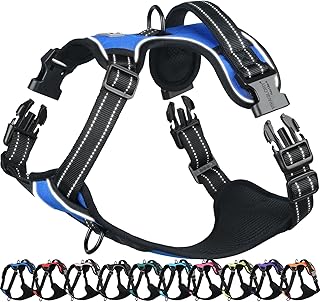 VIVAGLORY Easefit Dog Harness, Puppy Harness for Walking Hunter & Training, No Choking, Adjustable, Non-Stop, Safe, Anti-Pull Padded with Handle, Easy Control Handle, XS, Royal Blue